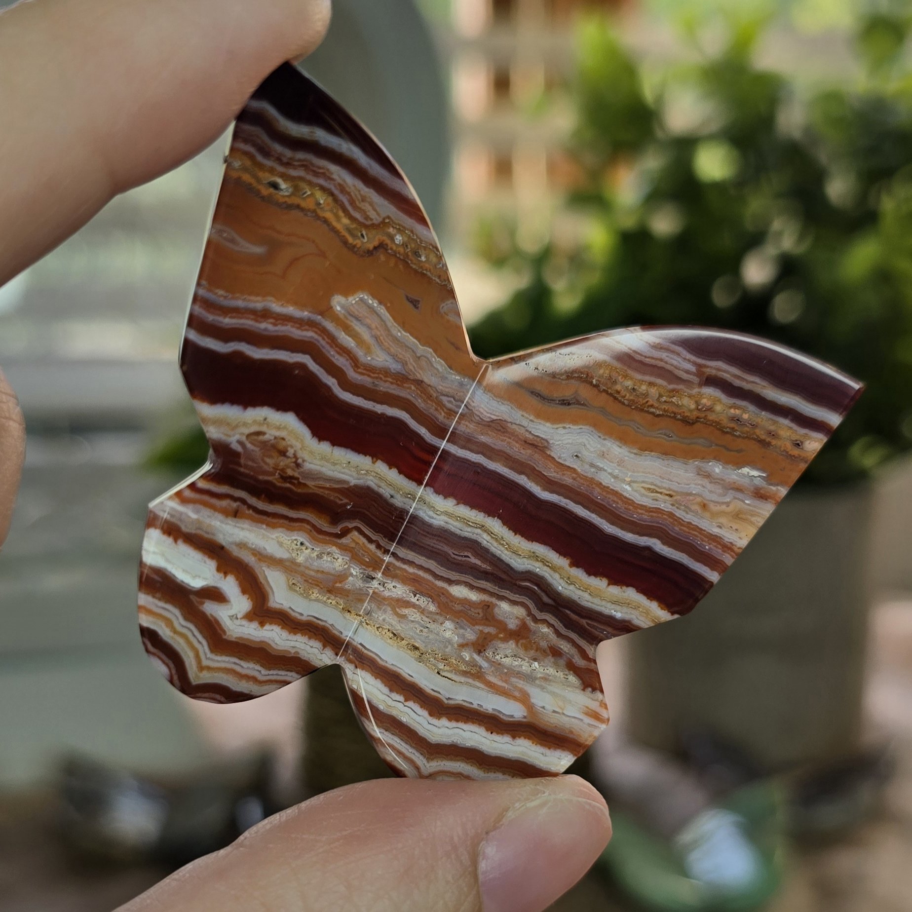 Pink Crazy Lace Agate Butterfly