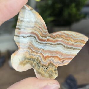 Natural Pink Crazy Lace Agate Butterfly Carving