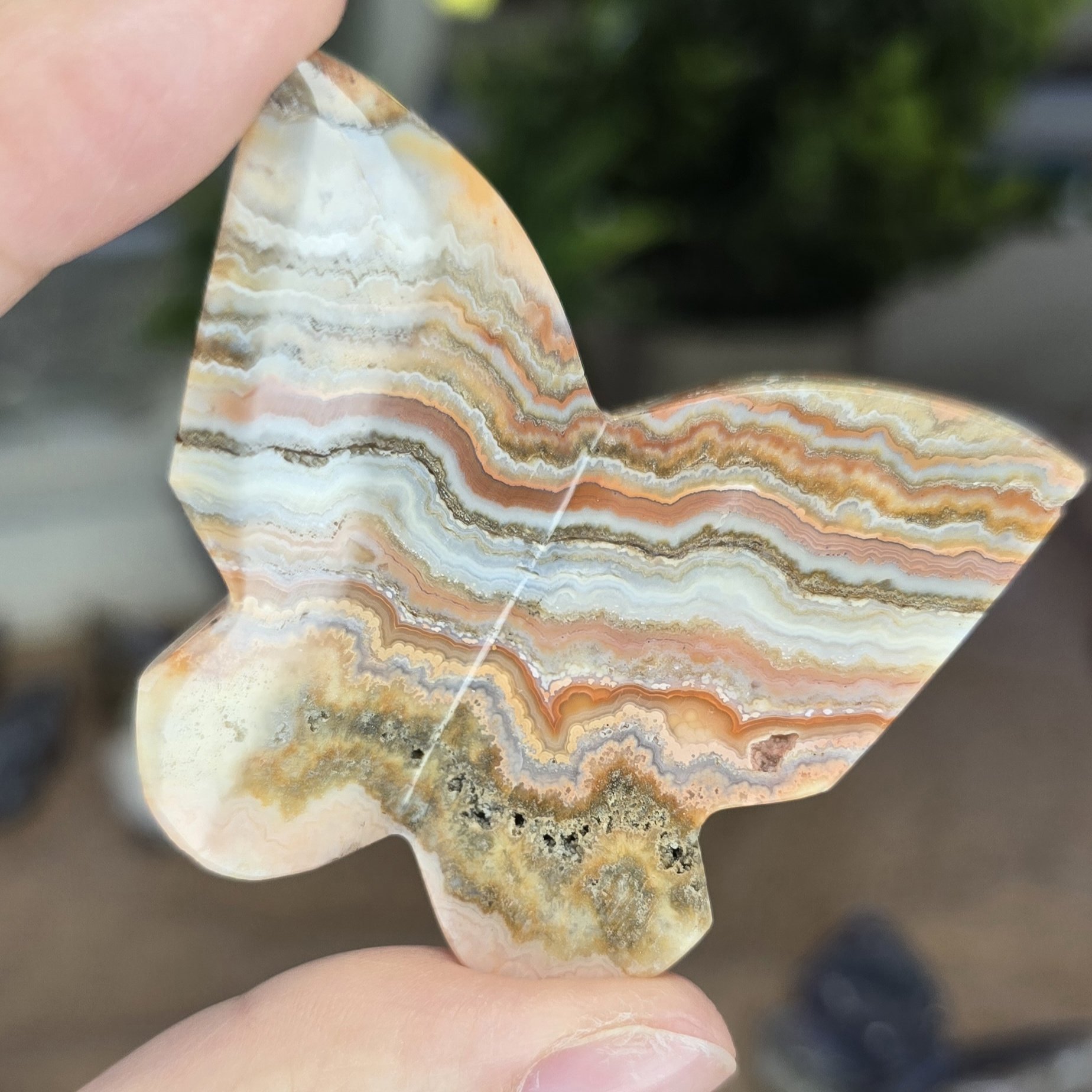 Natural Pink Crazy Lace Agate Butterfly Carving