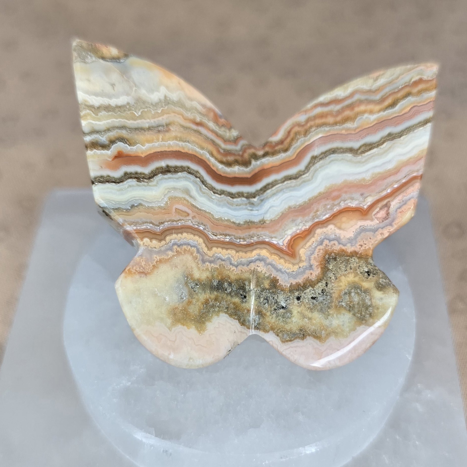 Natural Pink Crazy Lace Agate Butterfly Carving - Image 4
