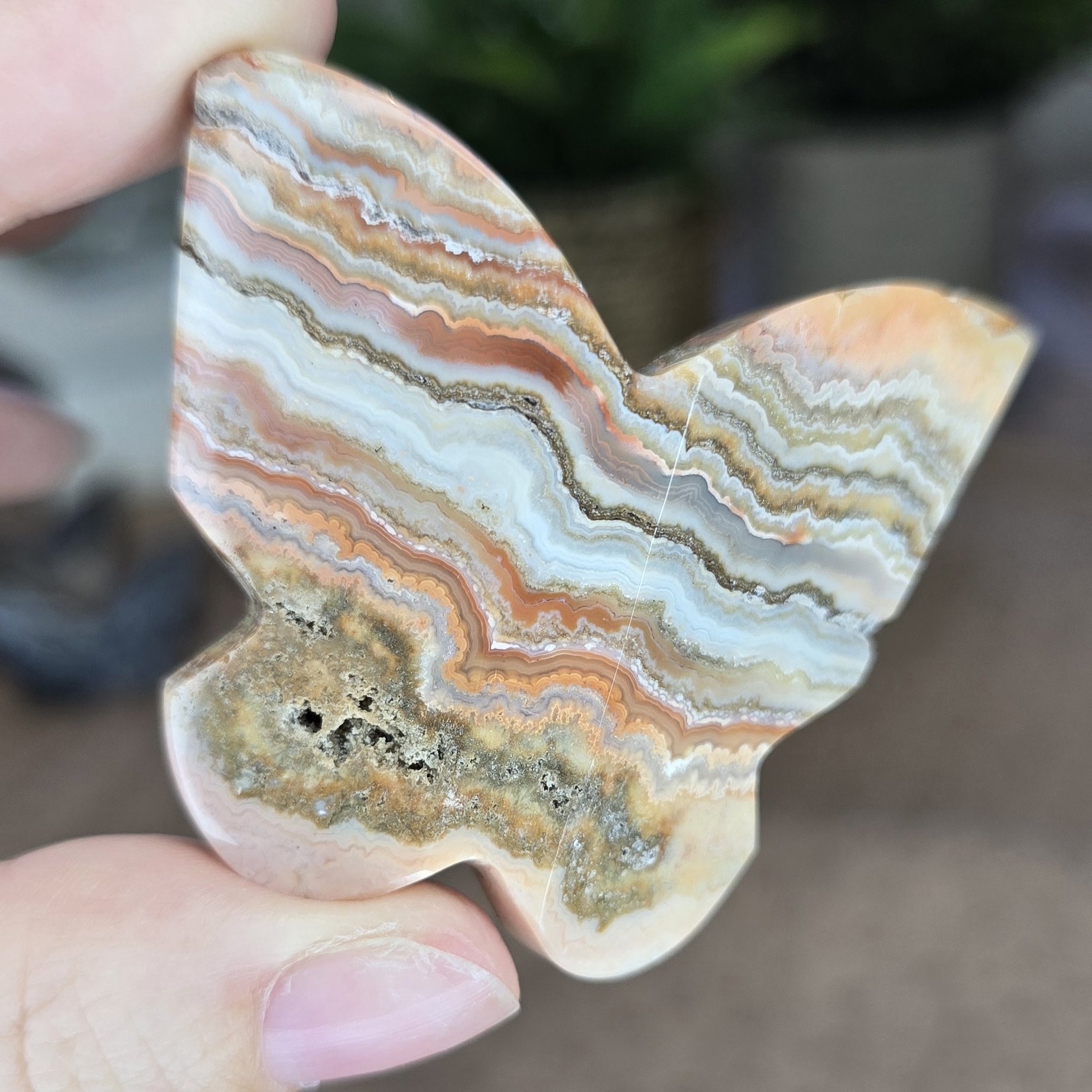 Natural Pink Crazy Lace Agate Butterfly Carving - Image 3