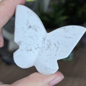 White Plume Agate Butterfly Carving