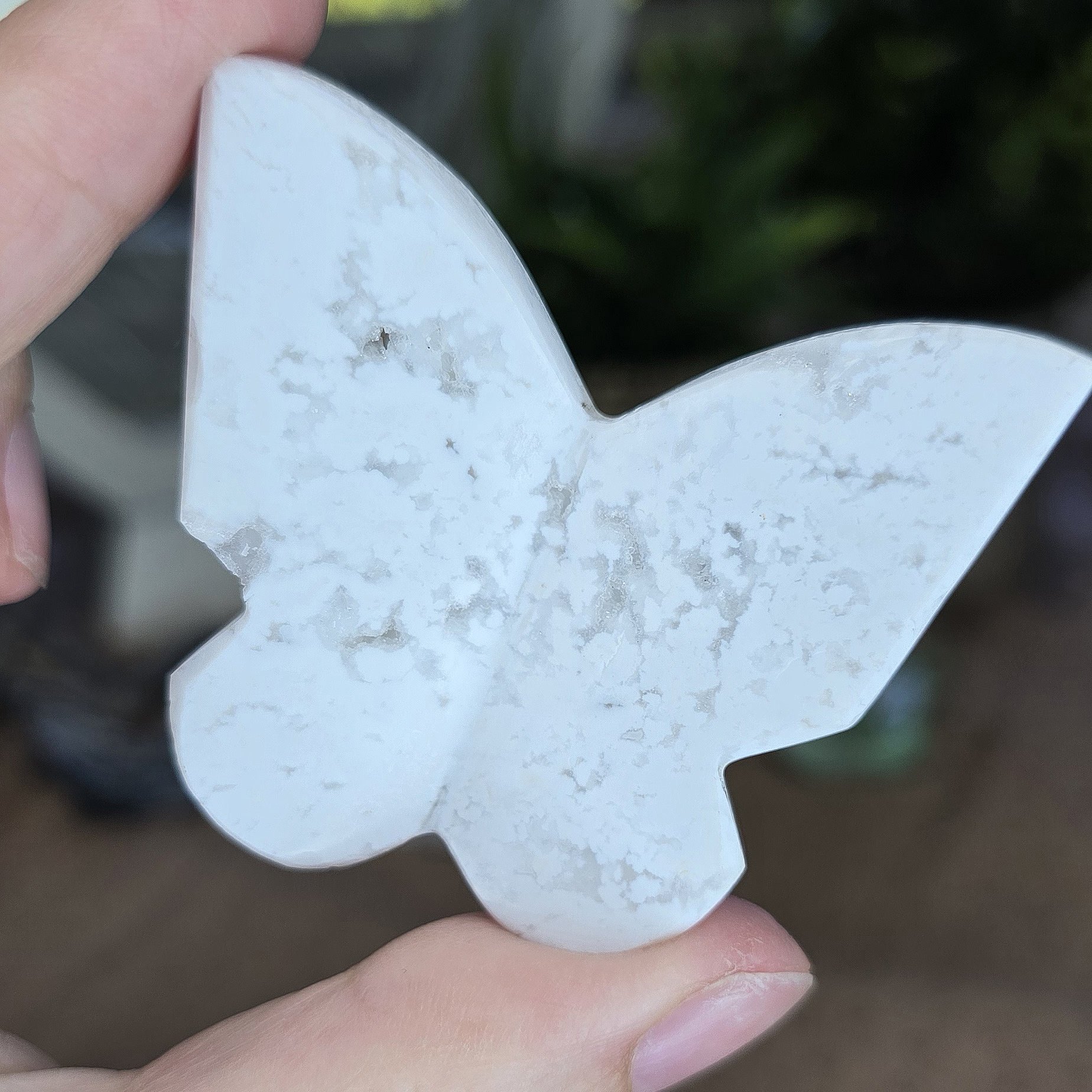 White Plume Agate Butterfly Carving