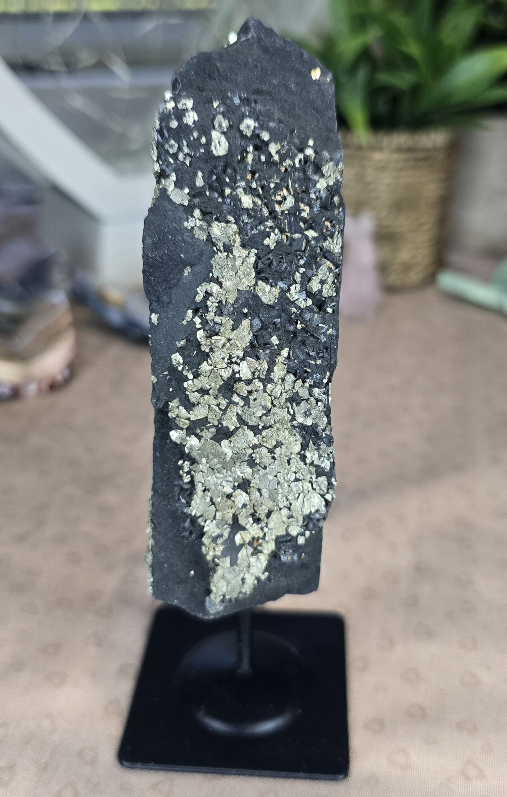Shungite & Pyrite Display Specimen on Stand