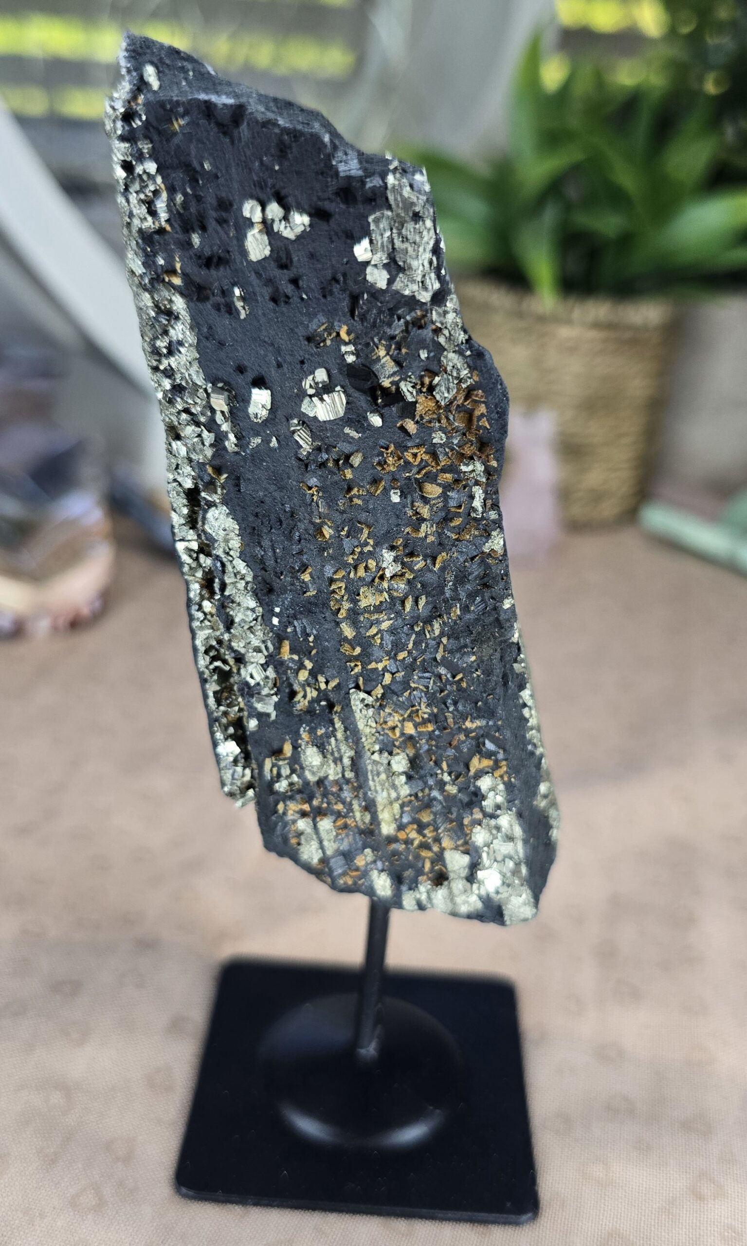 Shungite & Pyrite Display Specimen on Stand - Image 2