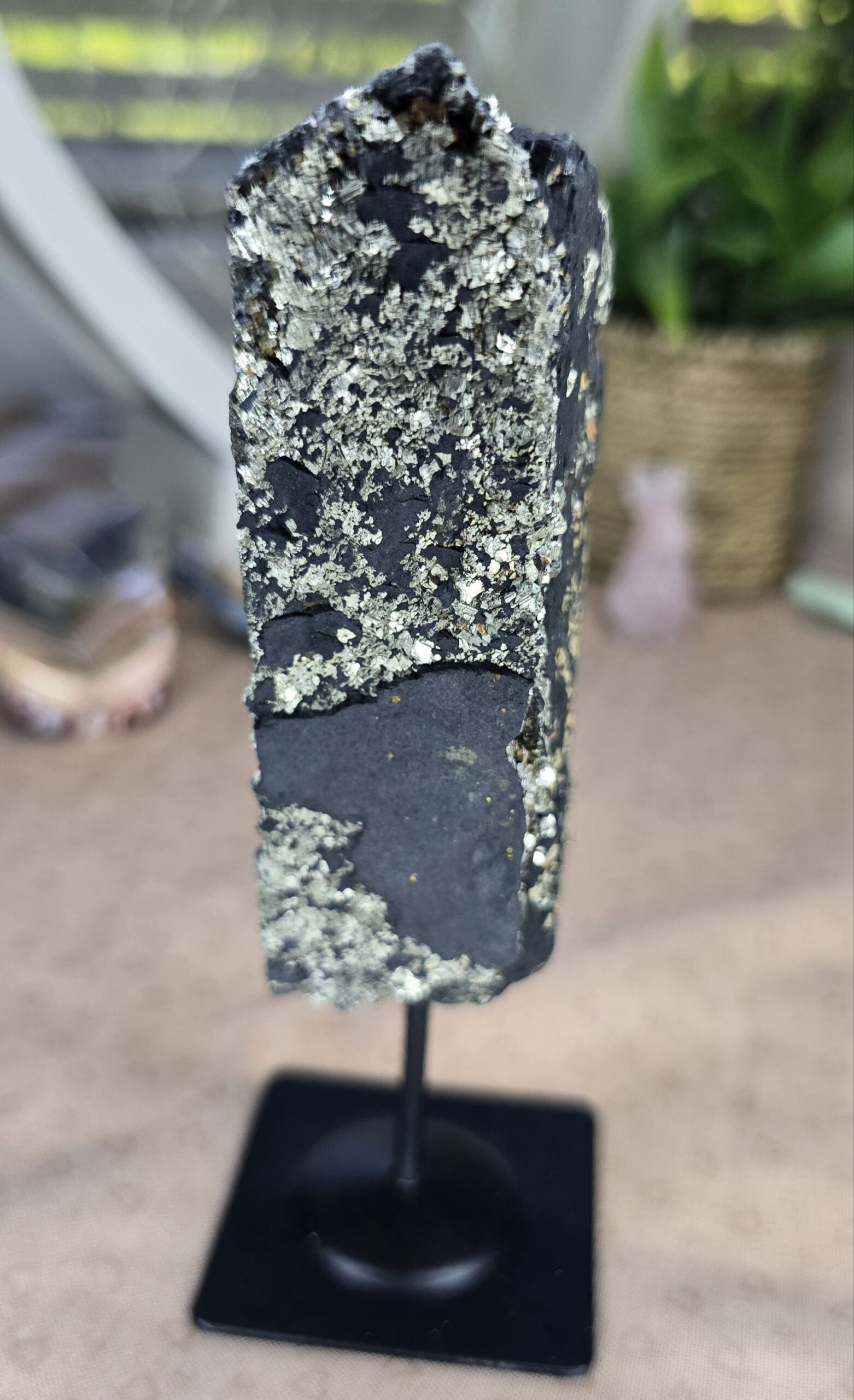 Shungite & Pyrite Display Specimen on Stand - Image 3