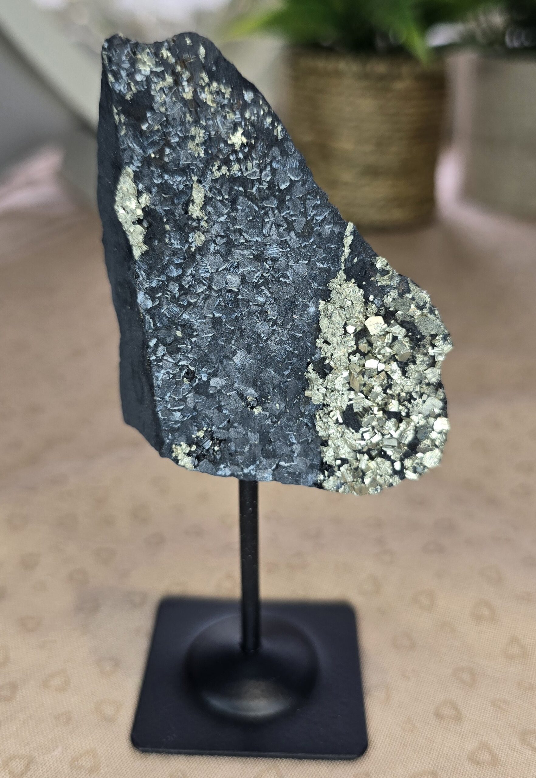 Shungite & Pyrite Display Specimen on Stand #2