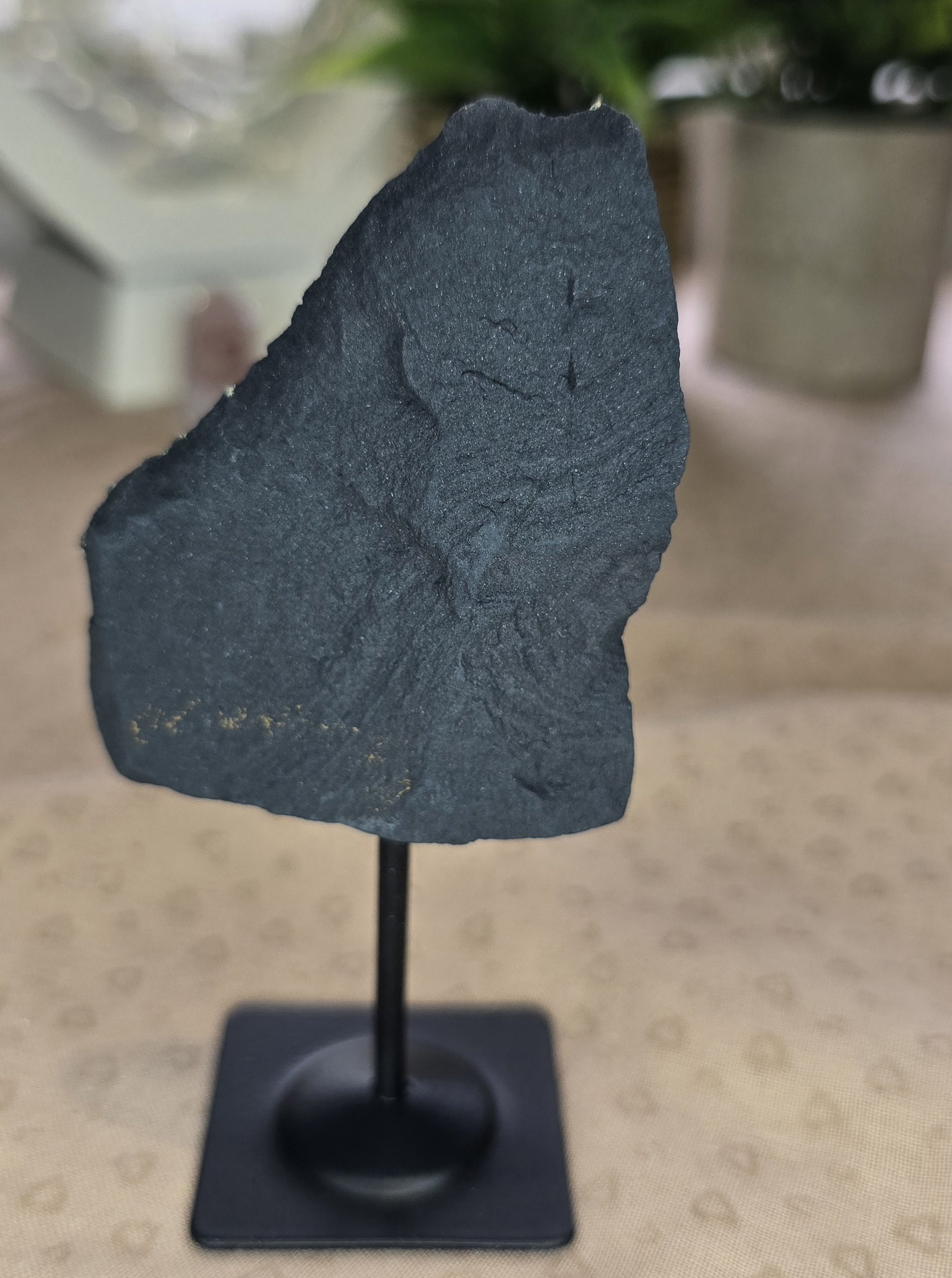 Shungite & Pyrite Display Specimen on Stand #2 - Image 4