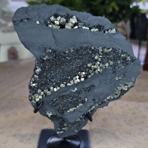Shungite & Pyrite Display Specimen on Stand #3