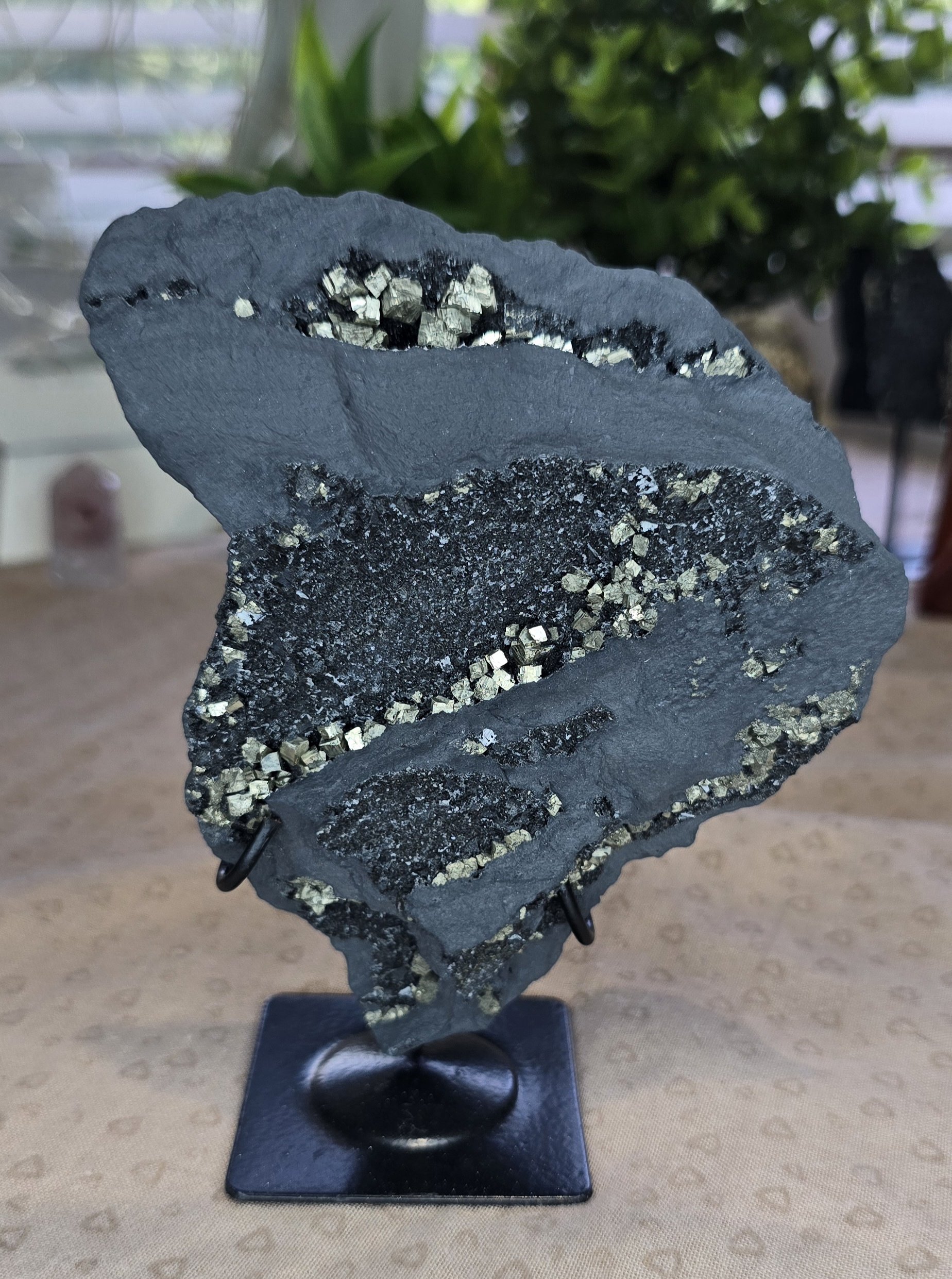 Shungite & Pyrite Display Specimen on Stand #3