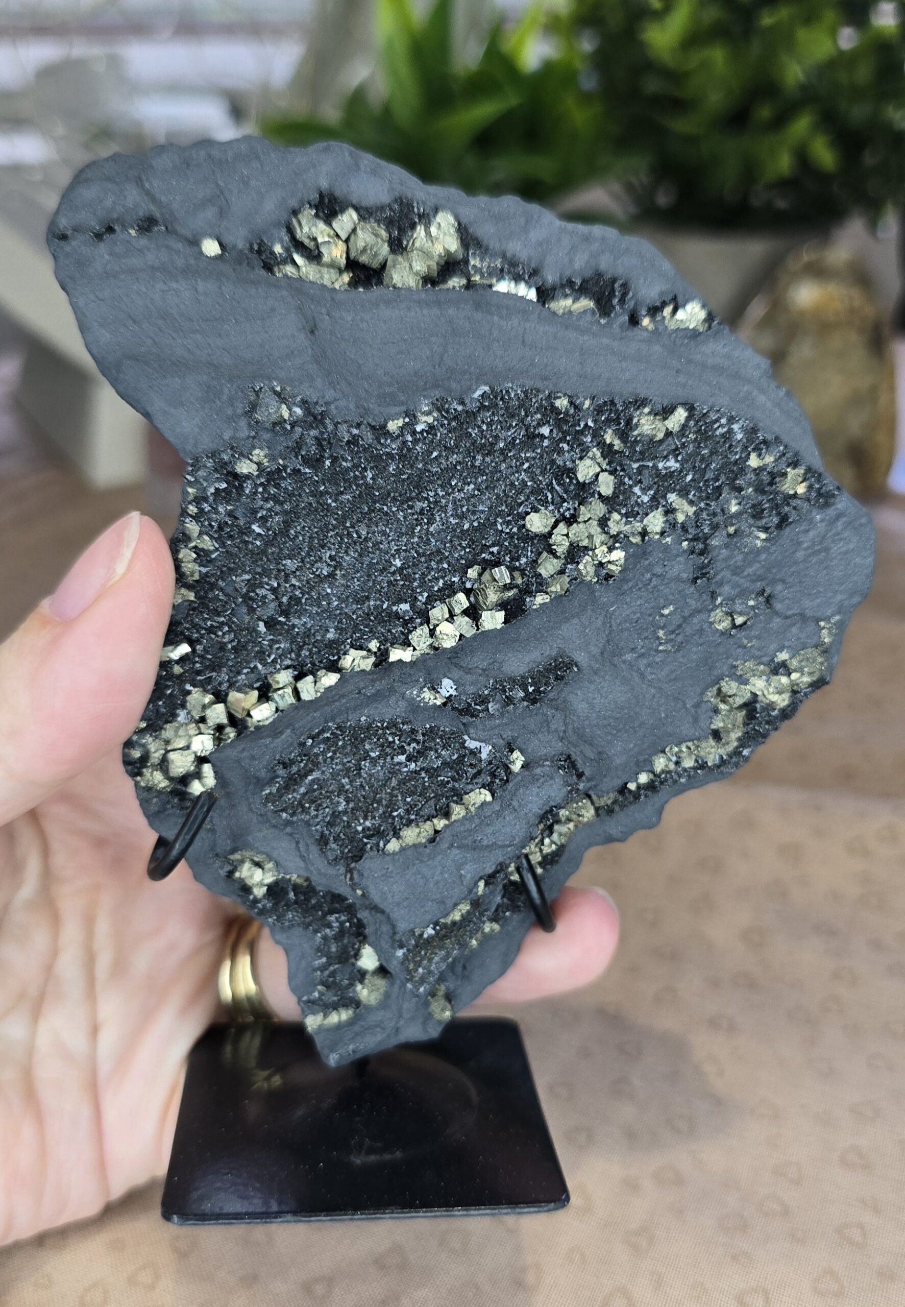 Shungite & Pyrite Display Specimen on Stand #3 - Image 2