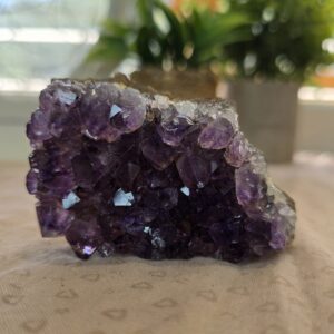 Amethyst Cluster Specimen B