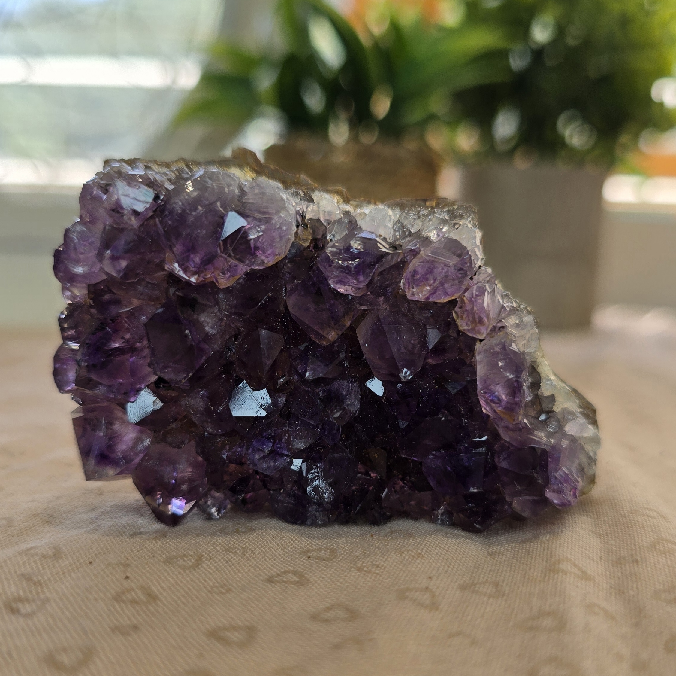 Amethyst Cluster Specimen B