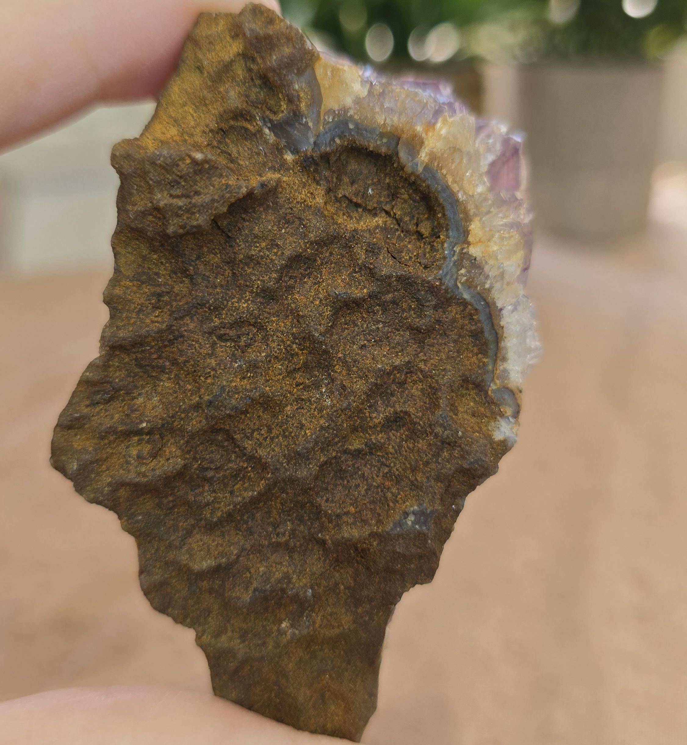 Amethyst Cluster Specimen B - Image 7