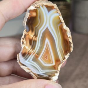Indonesian Polished Agate