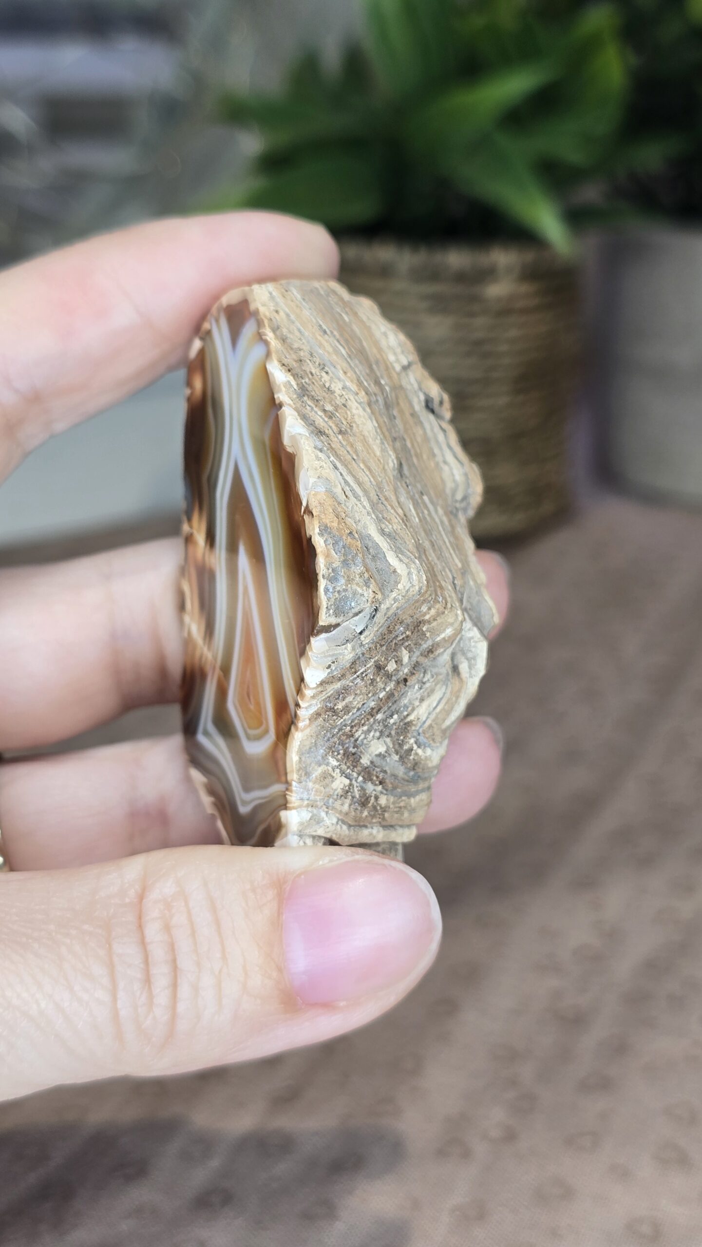 Indonesian Polished Agate - Image 5
