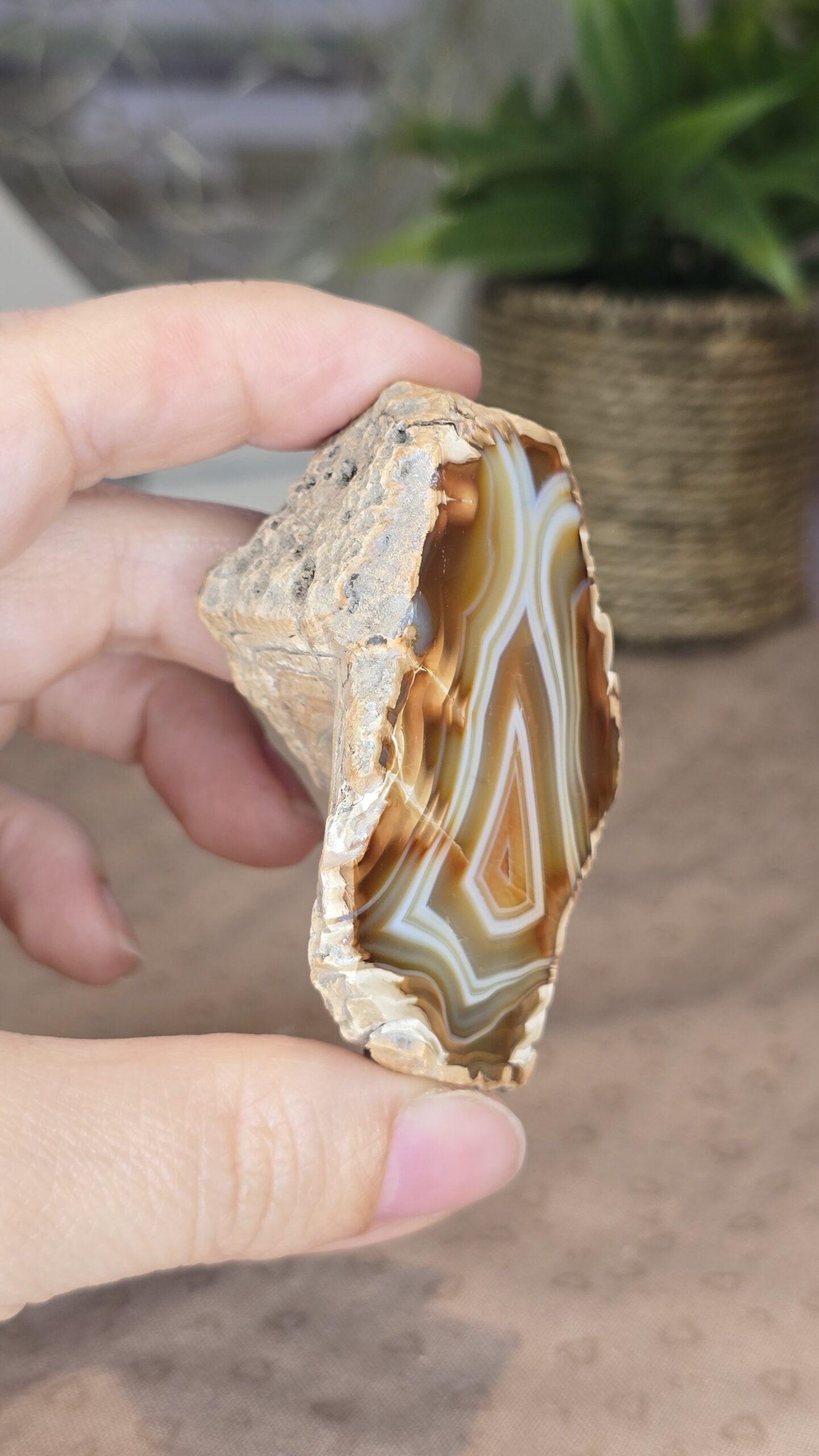 Indonesian Polished Agate - Image 4