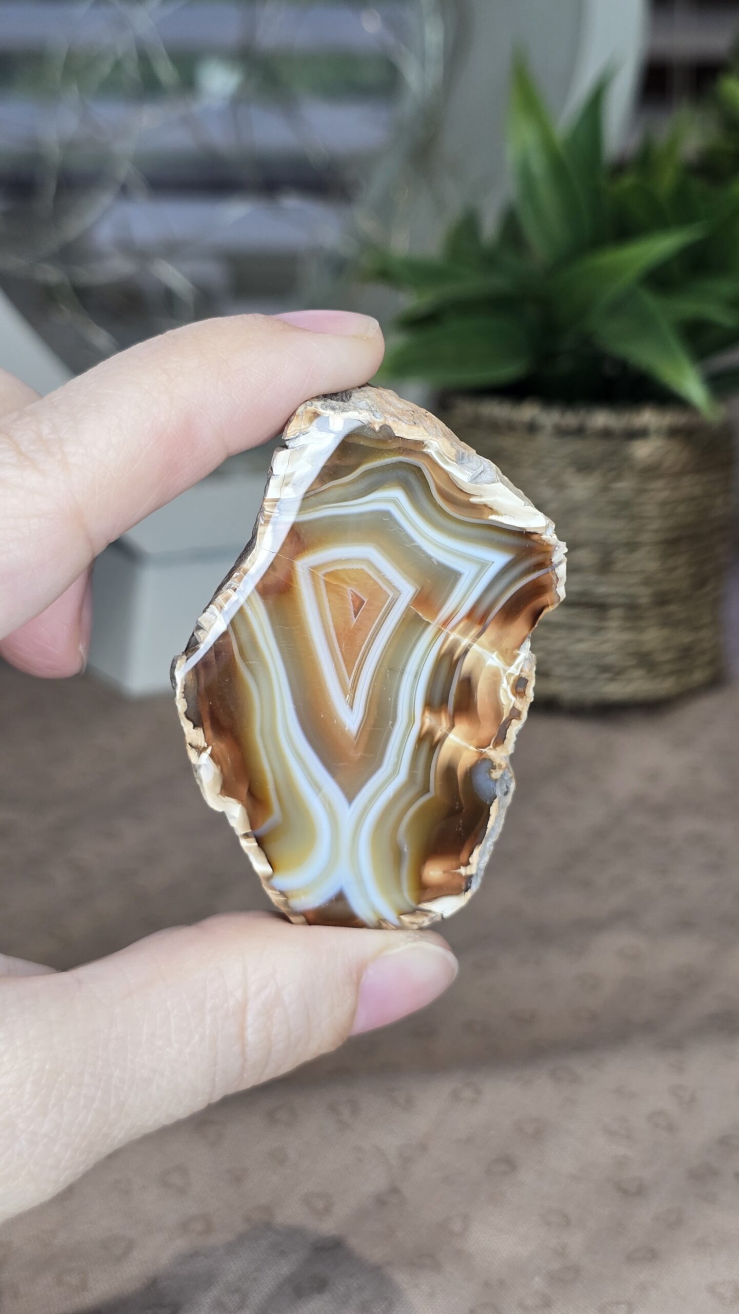 Indonesian Polished Agate - Image 3