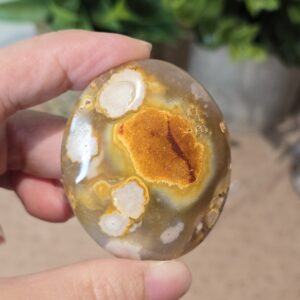 Flower Agate Palm Stone #1