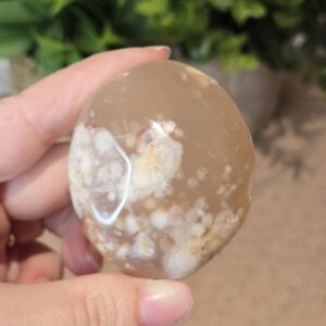 Flower Agate Palm Stone #5