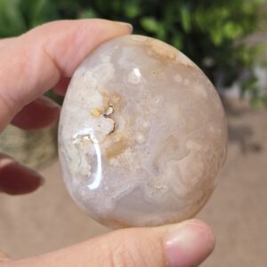 Flower Agate Palm Stone #4