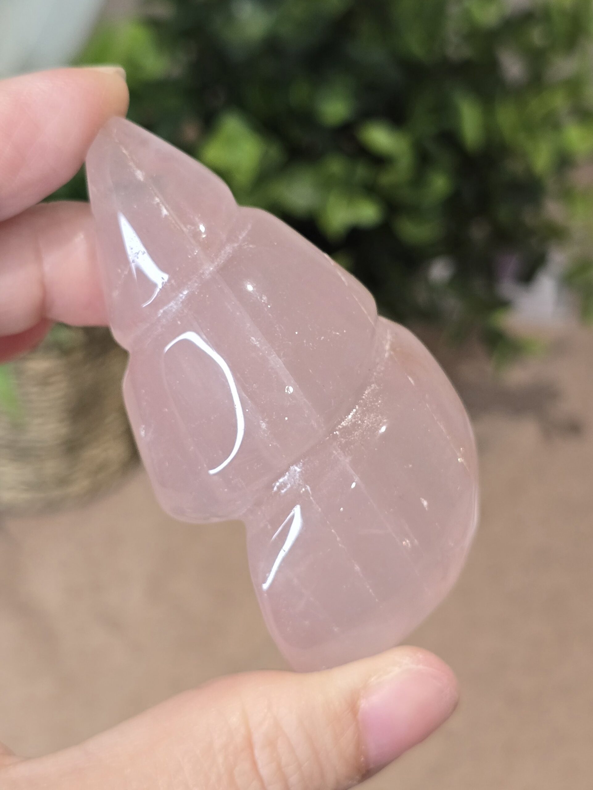 Starlight Rose Quartz Shell #3 - Image 5