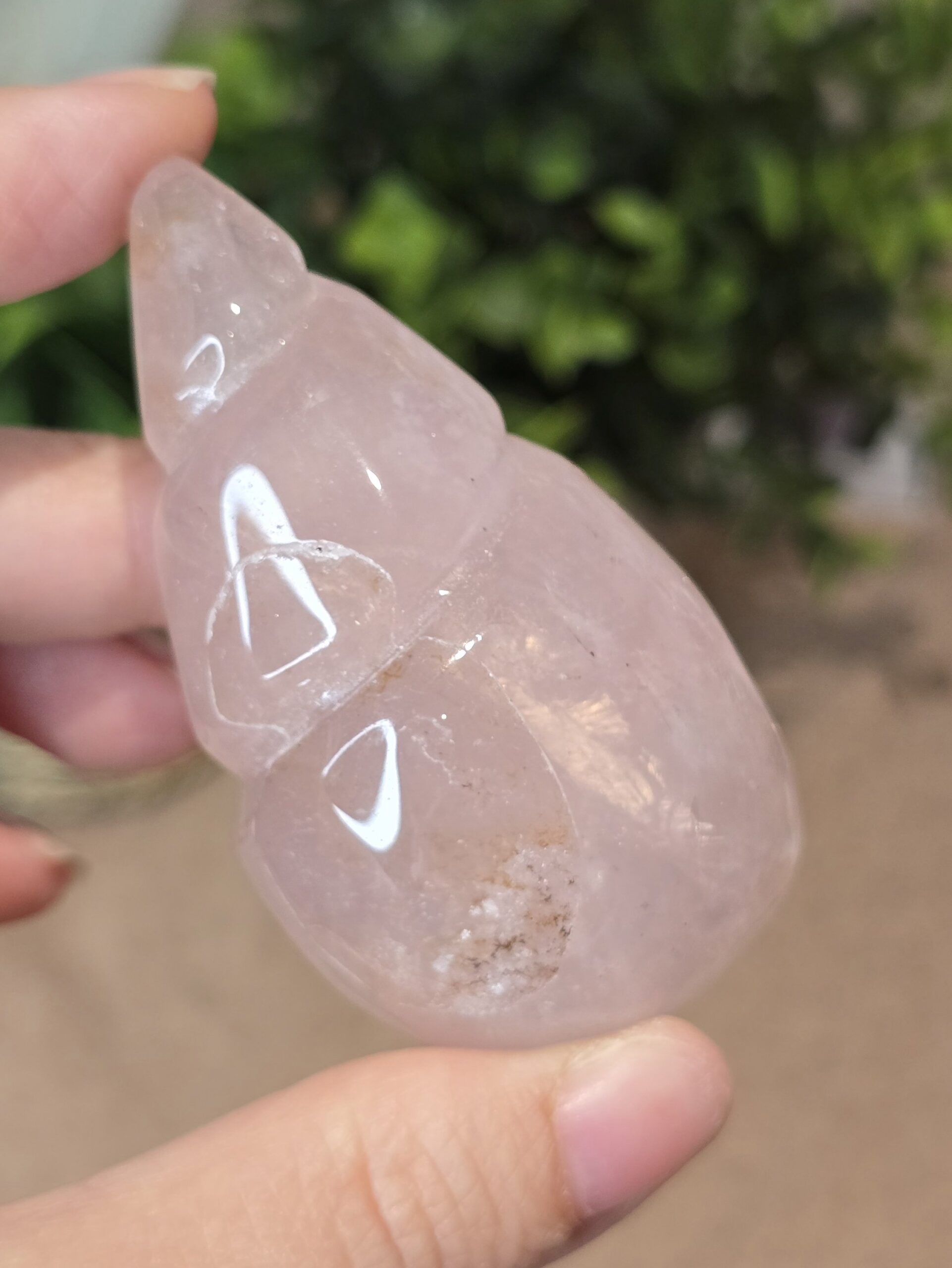 Starlight Rose Quartz Shell #3 - Image 2