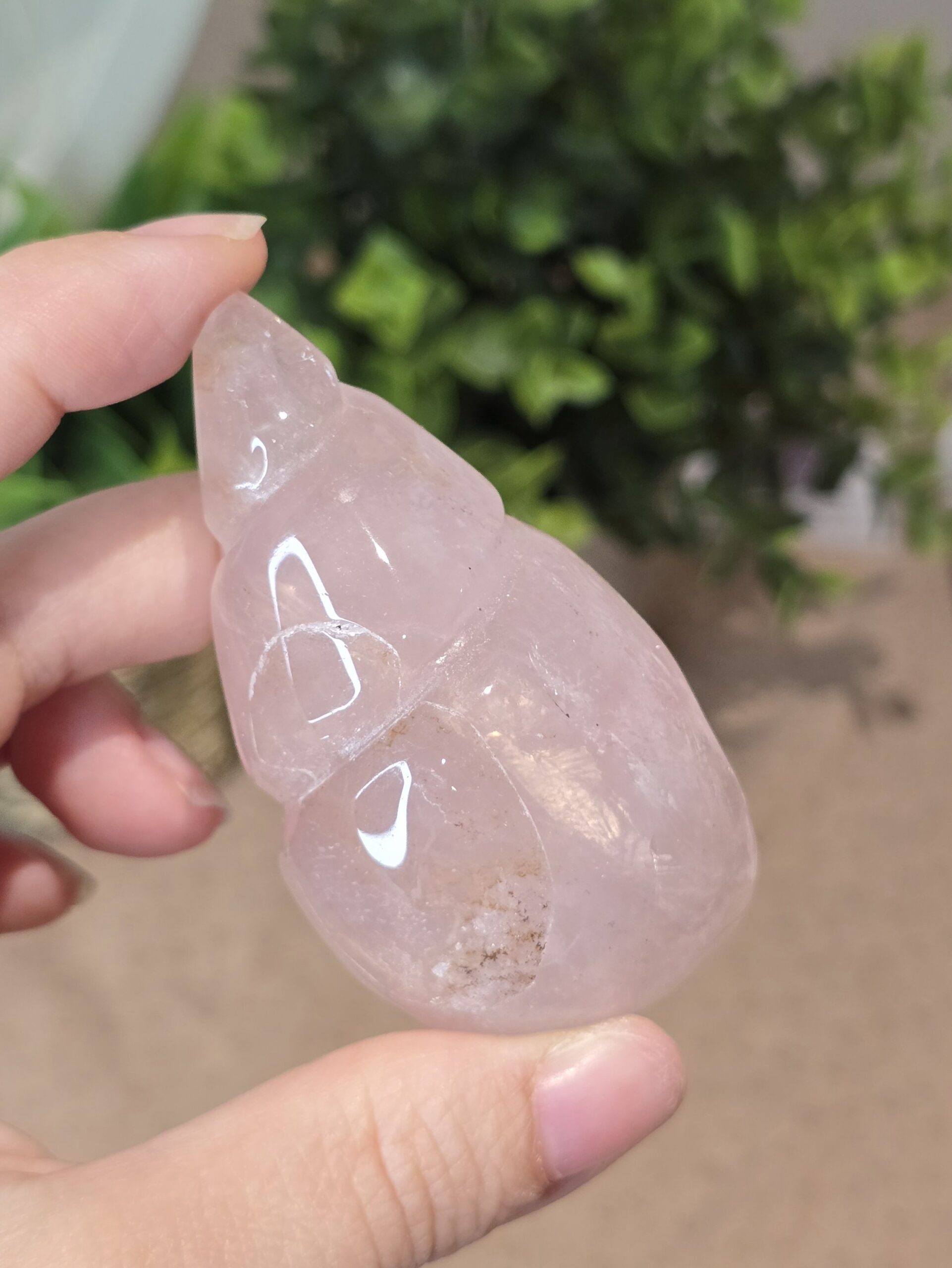 Starlight Rose Quartz Shell #3 - Image 4