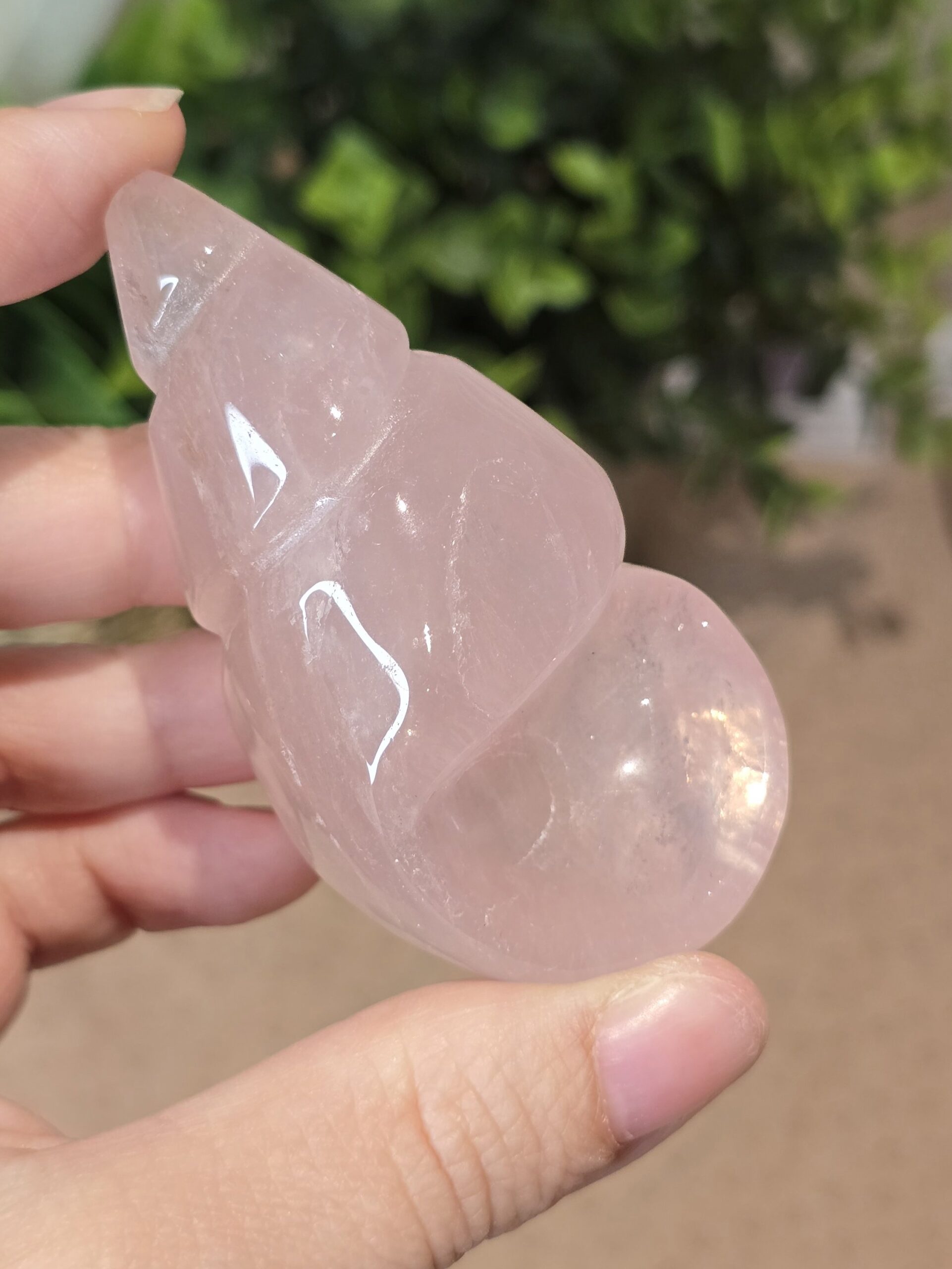 Starlight Rose Quartz Shell #3 - Image 3
