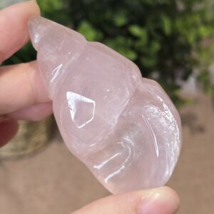 Starlight Rose Quartz Shell #3