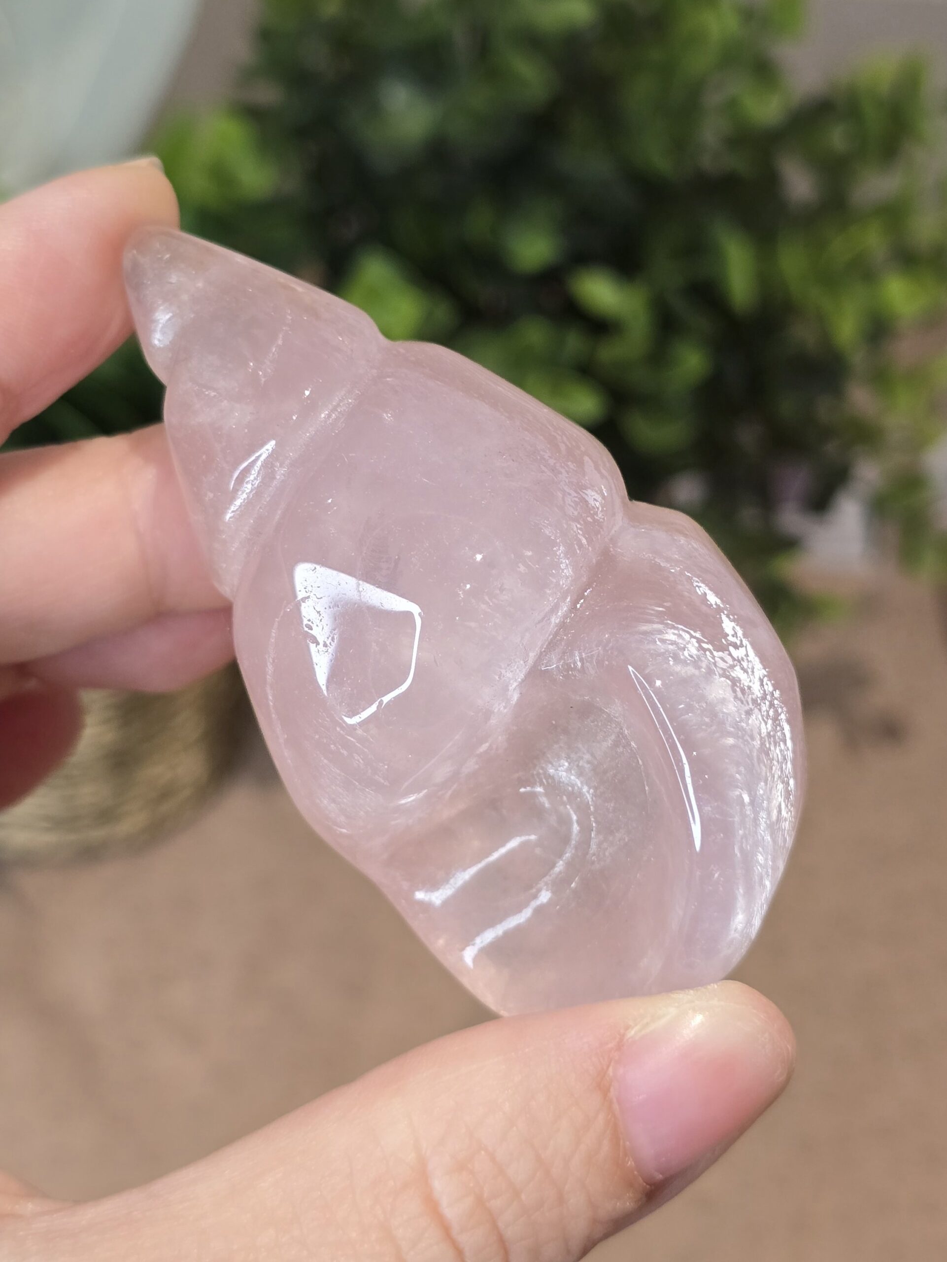 Starlight Rose Quartz Shell #3