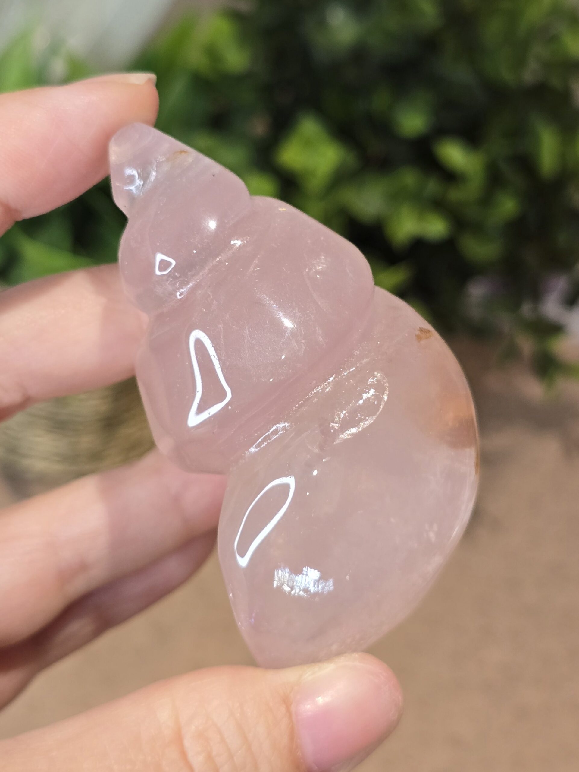 Starlight Rose Quartz Shell #4 - Image 4
