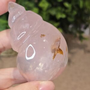 Starlight Rose Quartz Shell #4