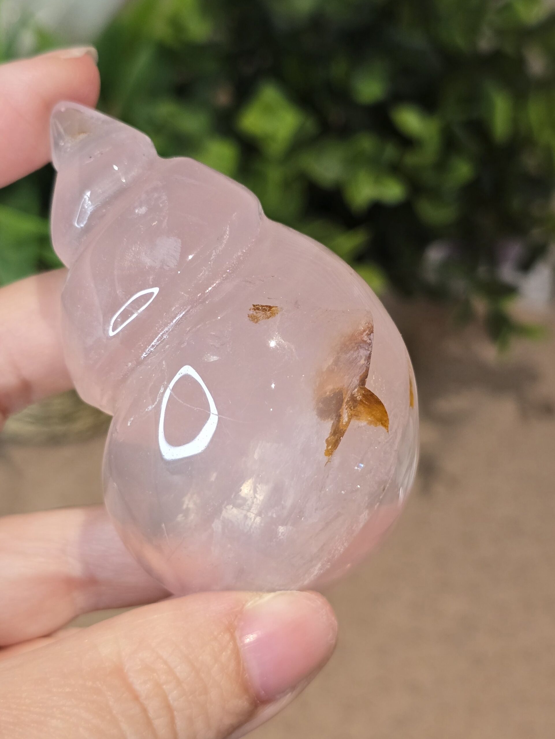 Starlight Rose Quartz Shell #4