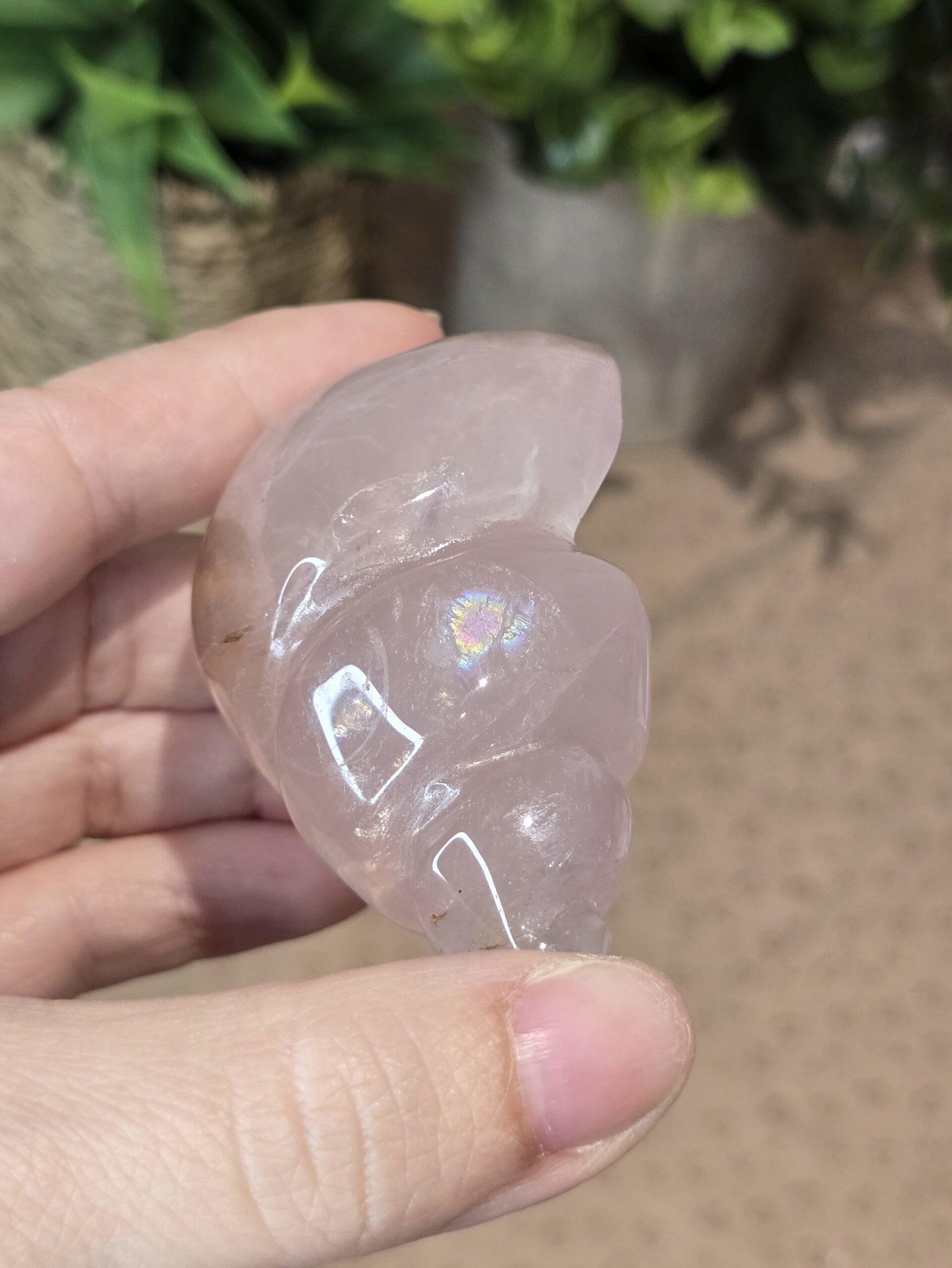 Starlight Rose Quartz Shell #4 - Image 5