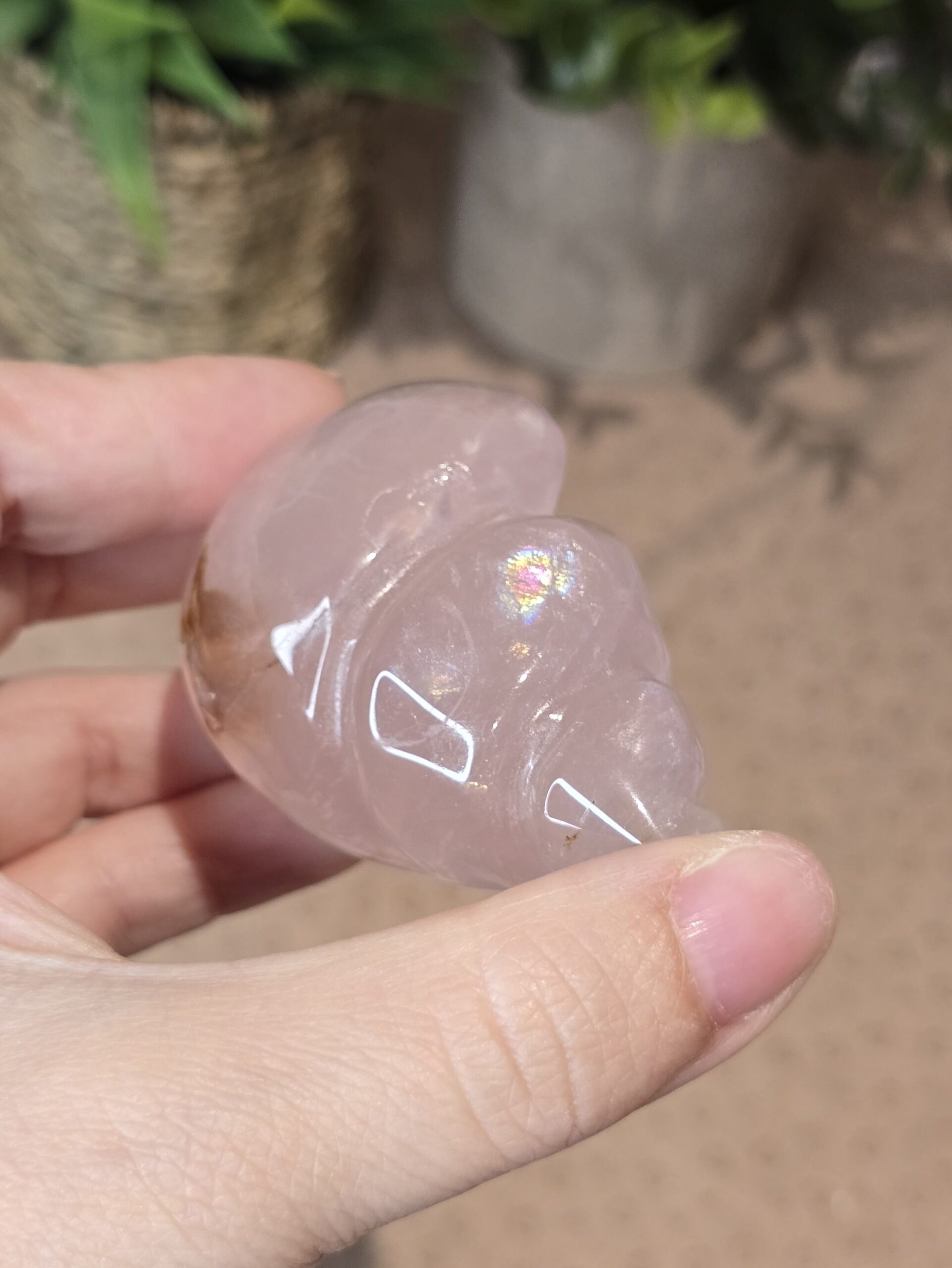 Starlight Rose Quartz Shell #4 - Image 2