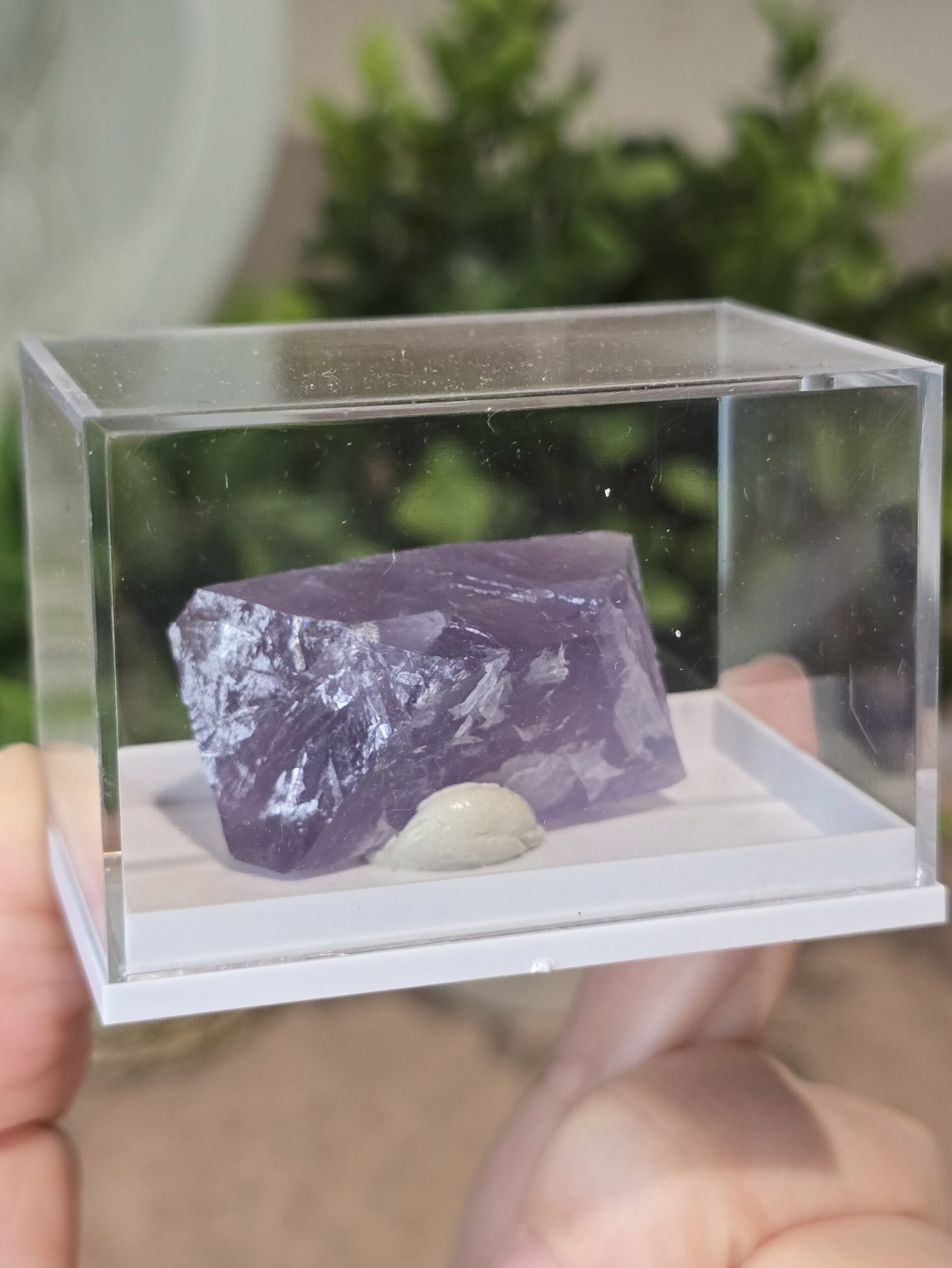 Natural Purple Fluorite Specimen | Caravia, Spain - Image 9