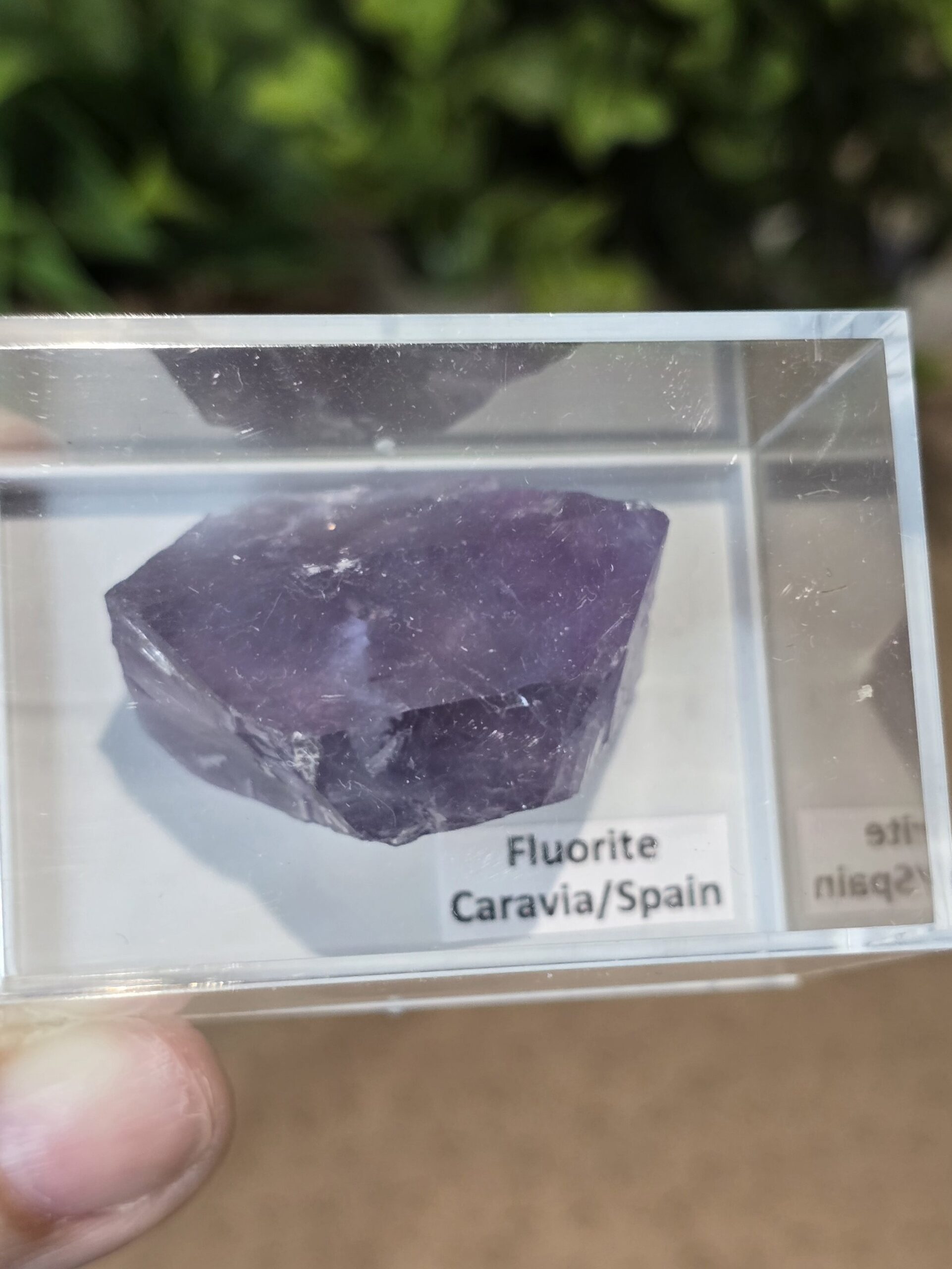 Natural Purple Fluorite Specimen | Caravia, Spain - Image 10