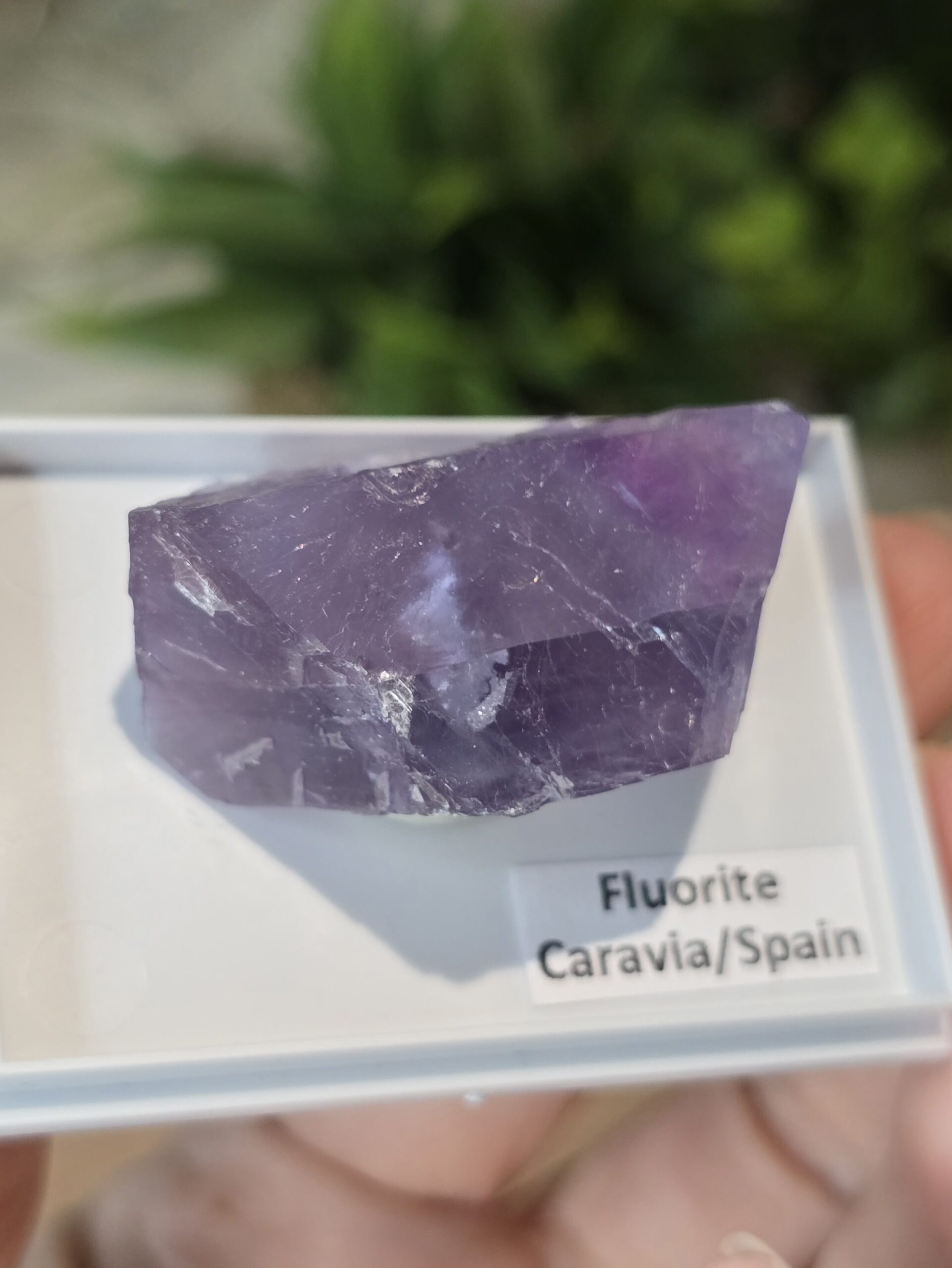 Natural Purple Fluorite Specimen | Caravia, Spain