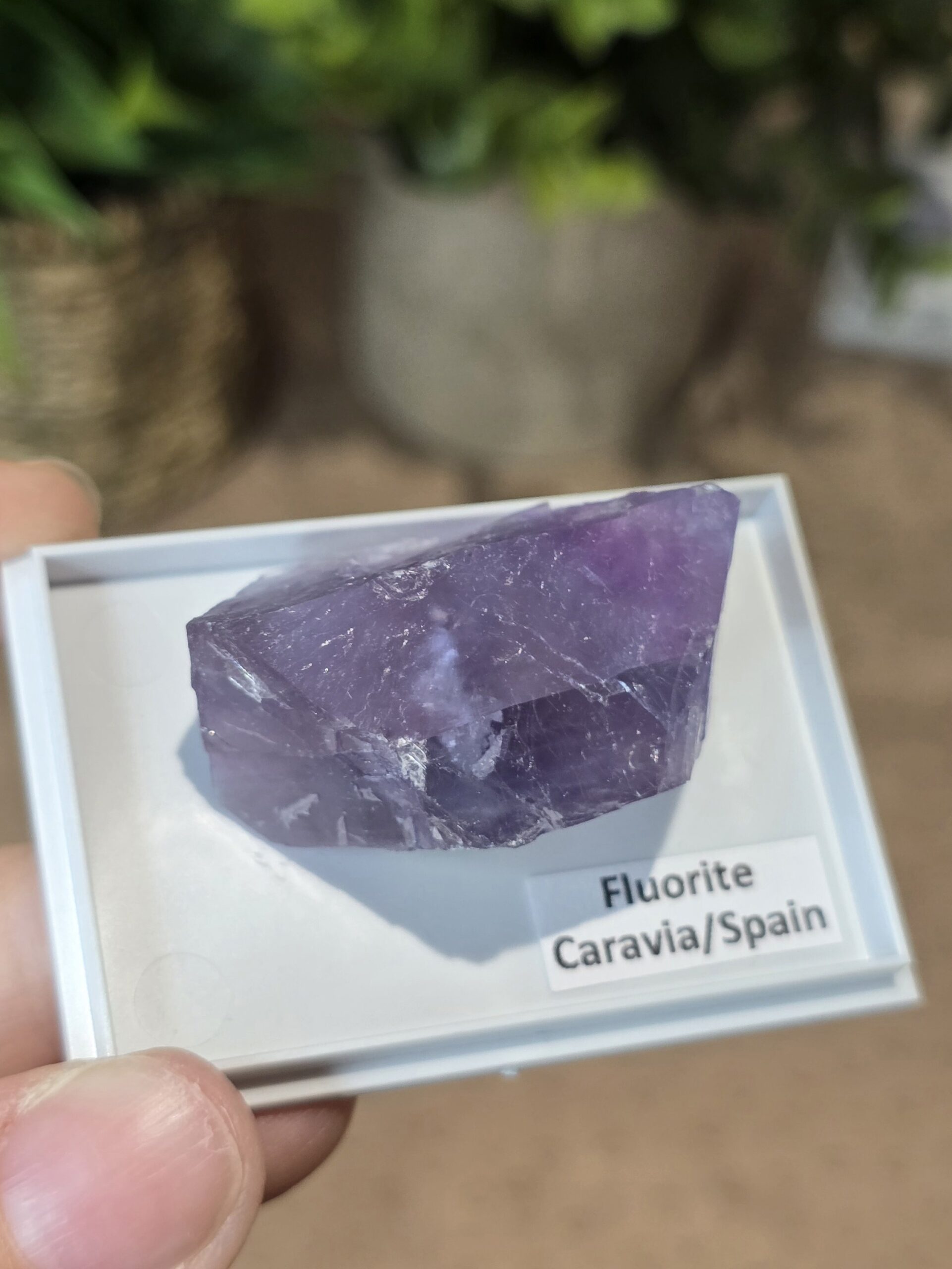 Natural Purple Fluorite Specimen | Caravia, Spain - Image 2