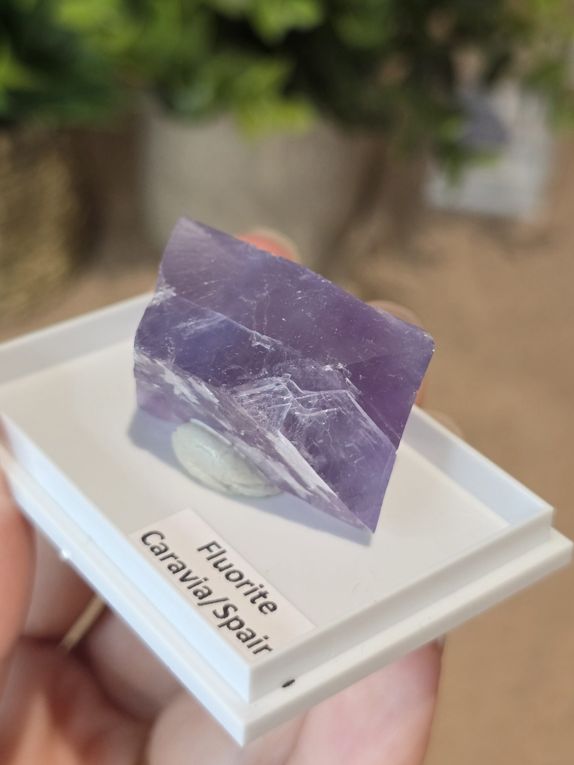 Natural Purple Fluorite Specimen | Caravia, Spain - Image 7