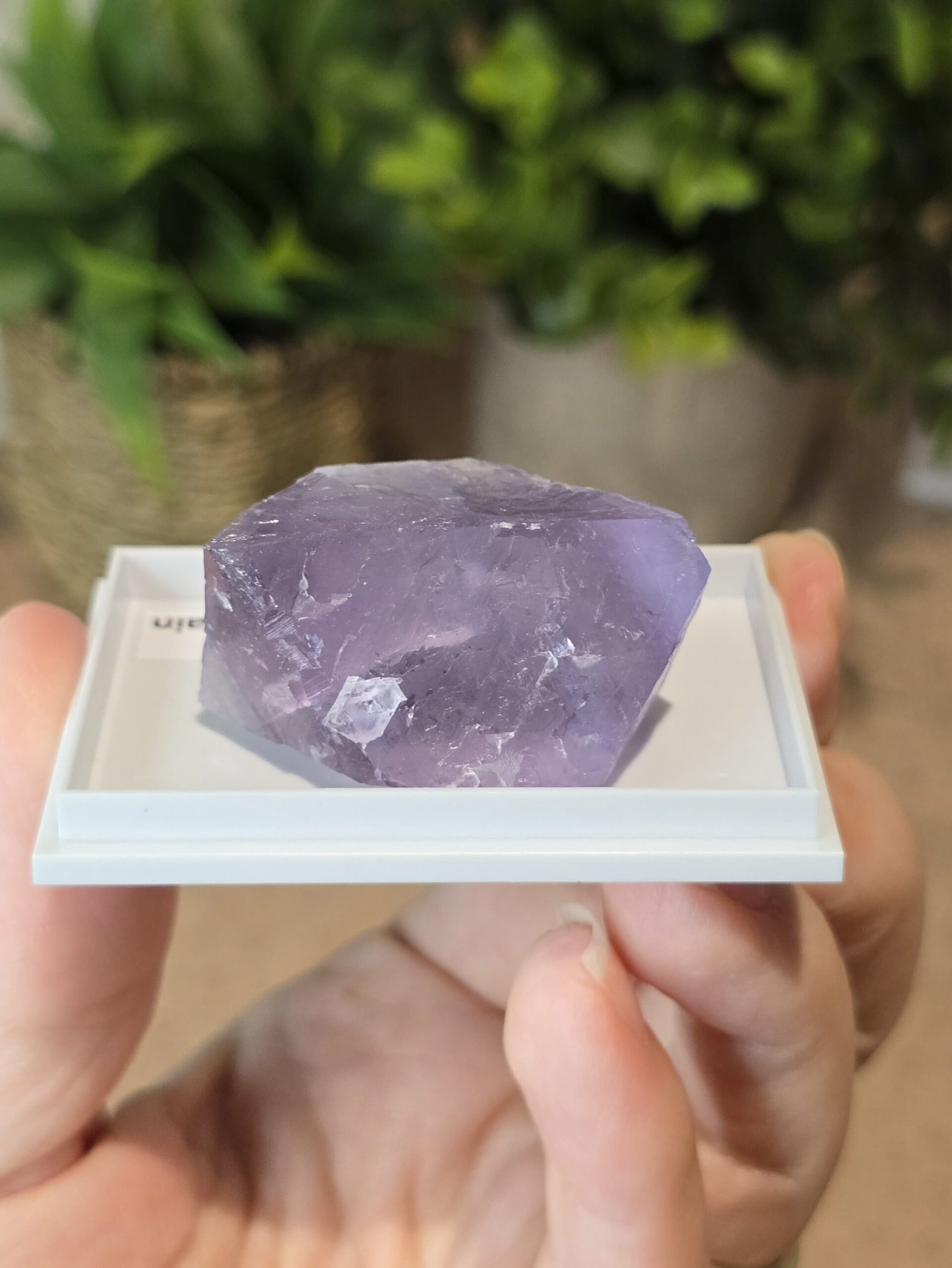 Natural Purple Fluorite Specimen | Caravia, Spain - Image 4