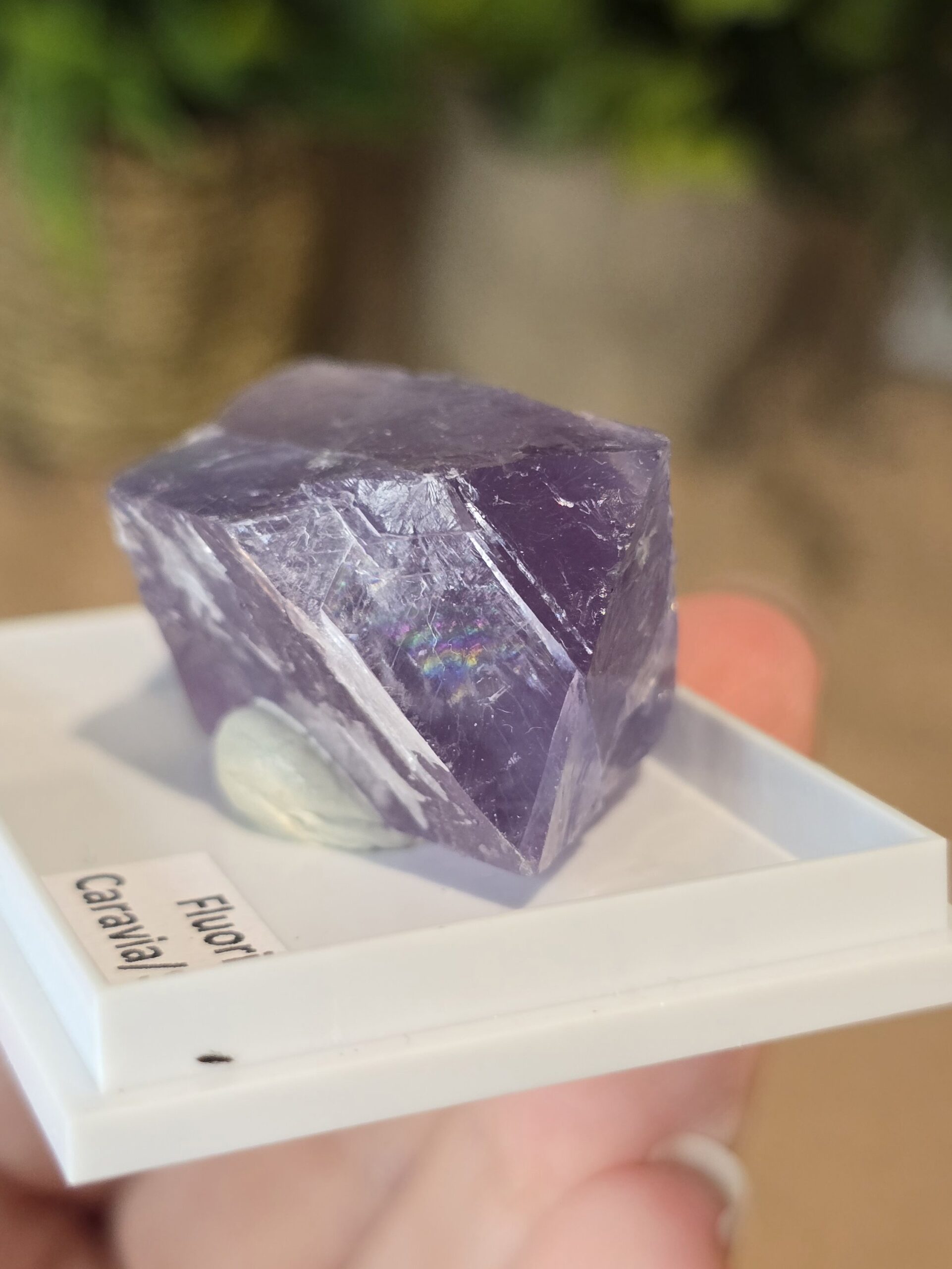 Natural Purple Fluorite Specimen | Caravia, Spain - Image 3