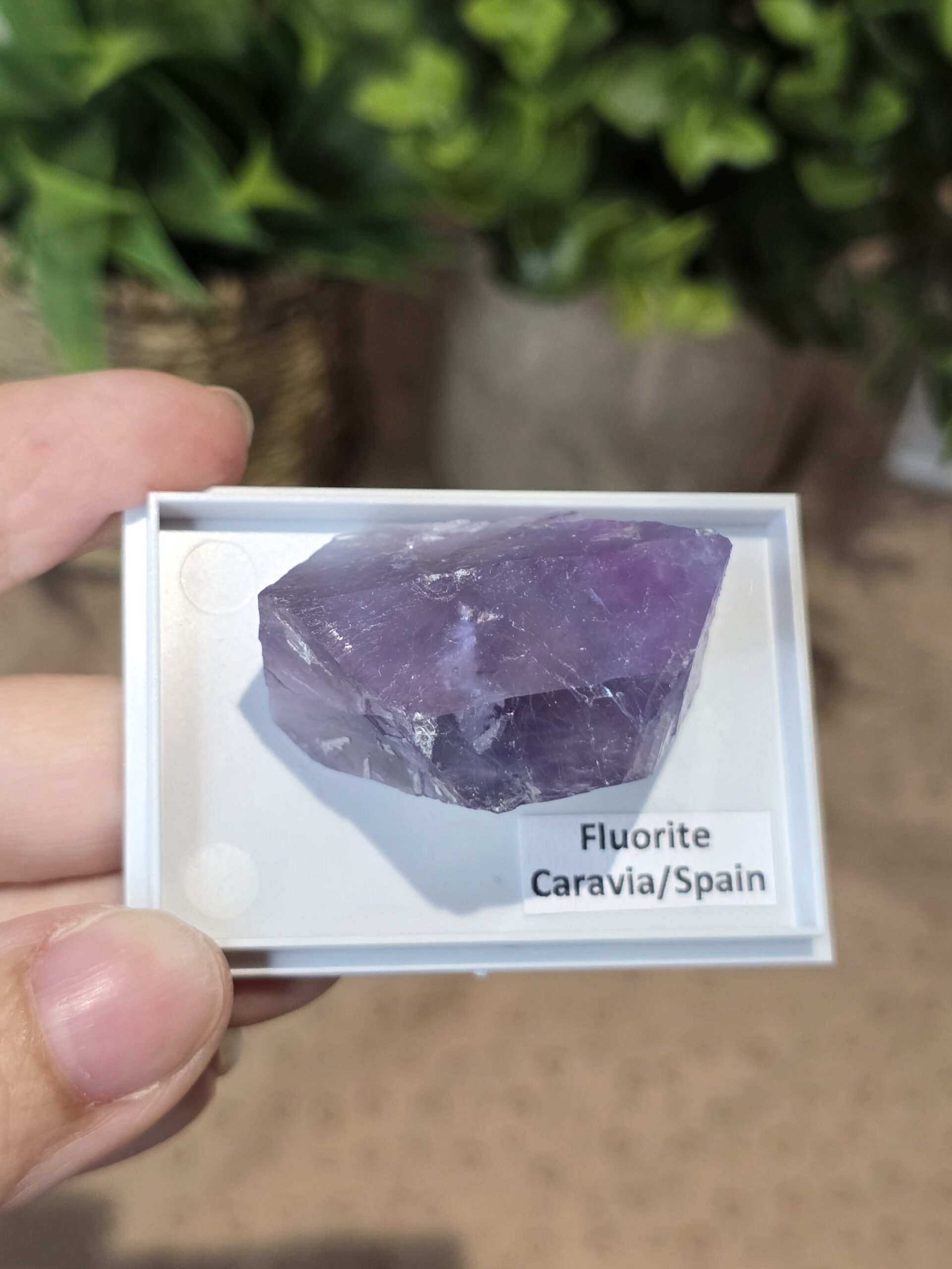 Natural Purple Fluorite Specimen | Caravia, Spain - Image 8