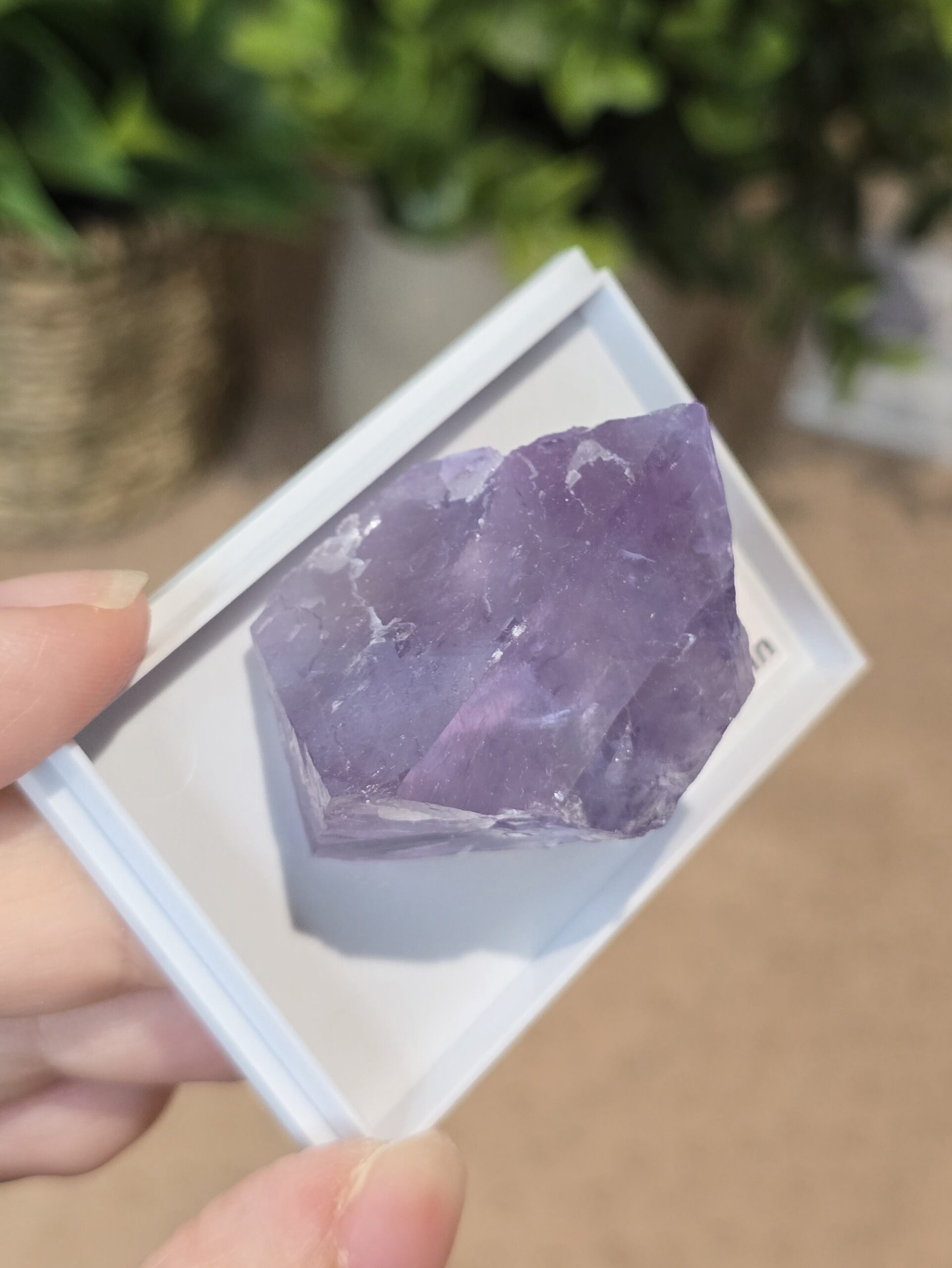Natural Purple Fluorite Specimen | Caravia, Spain - Image 5
