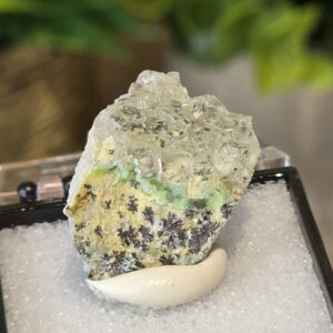 Phantom Fluorite Specimen with Clear Crystals