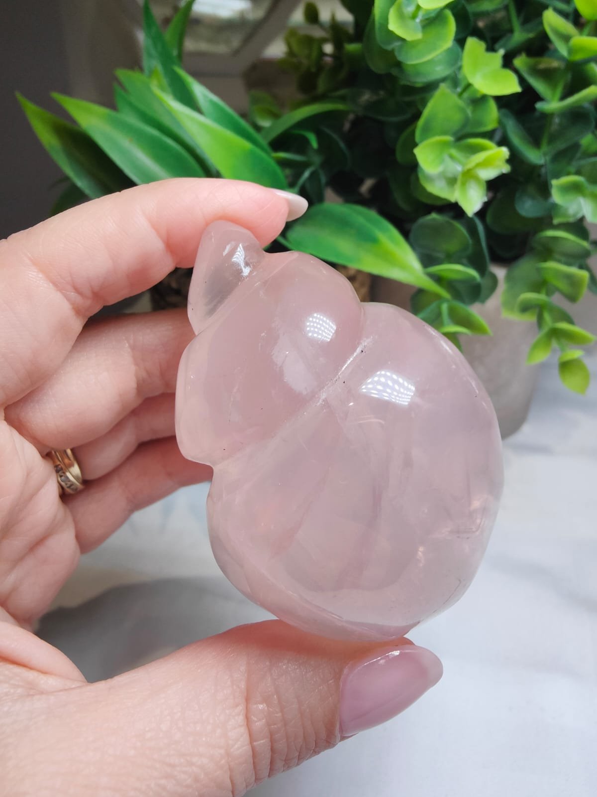 Starlight Rose Quartz Shell #5 - Image 2