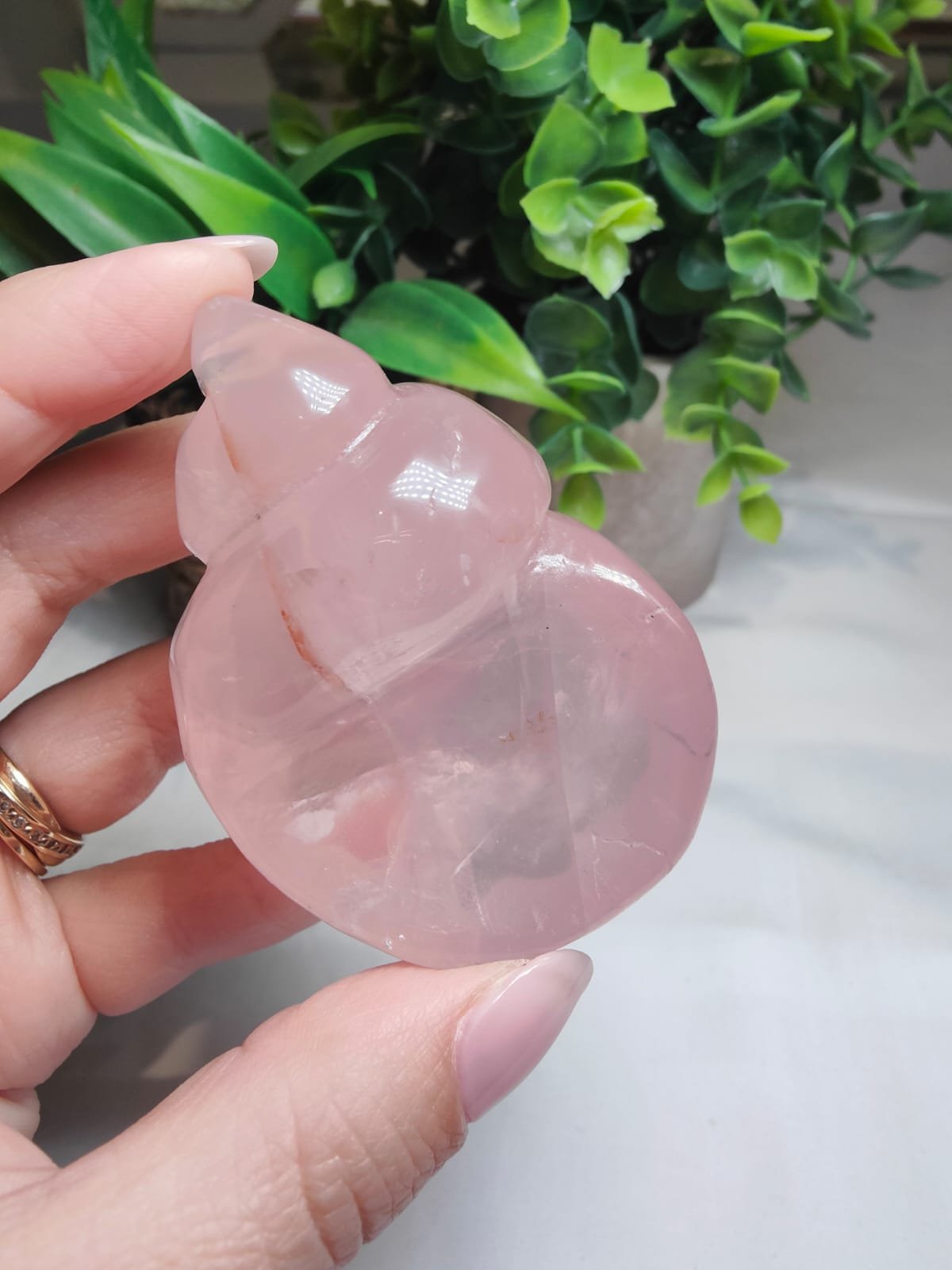 Starlight Rose Quartz Shell #5