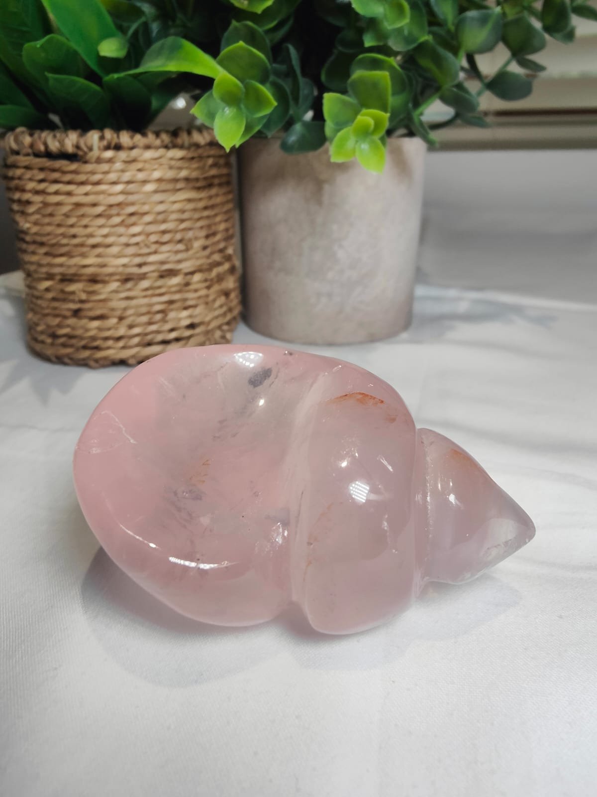 Starlight Rose Quartz Shell #5 - Image 4
