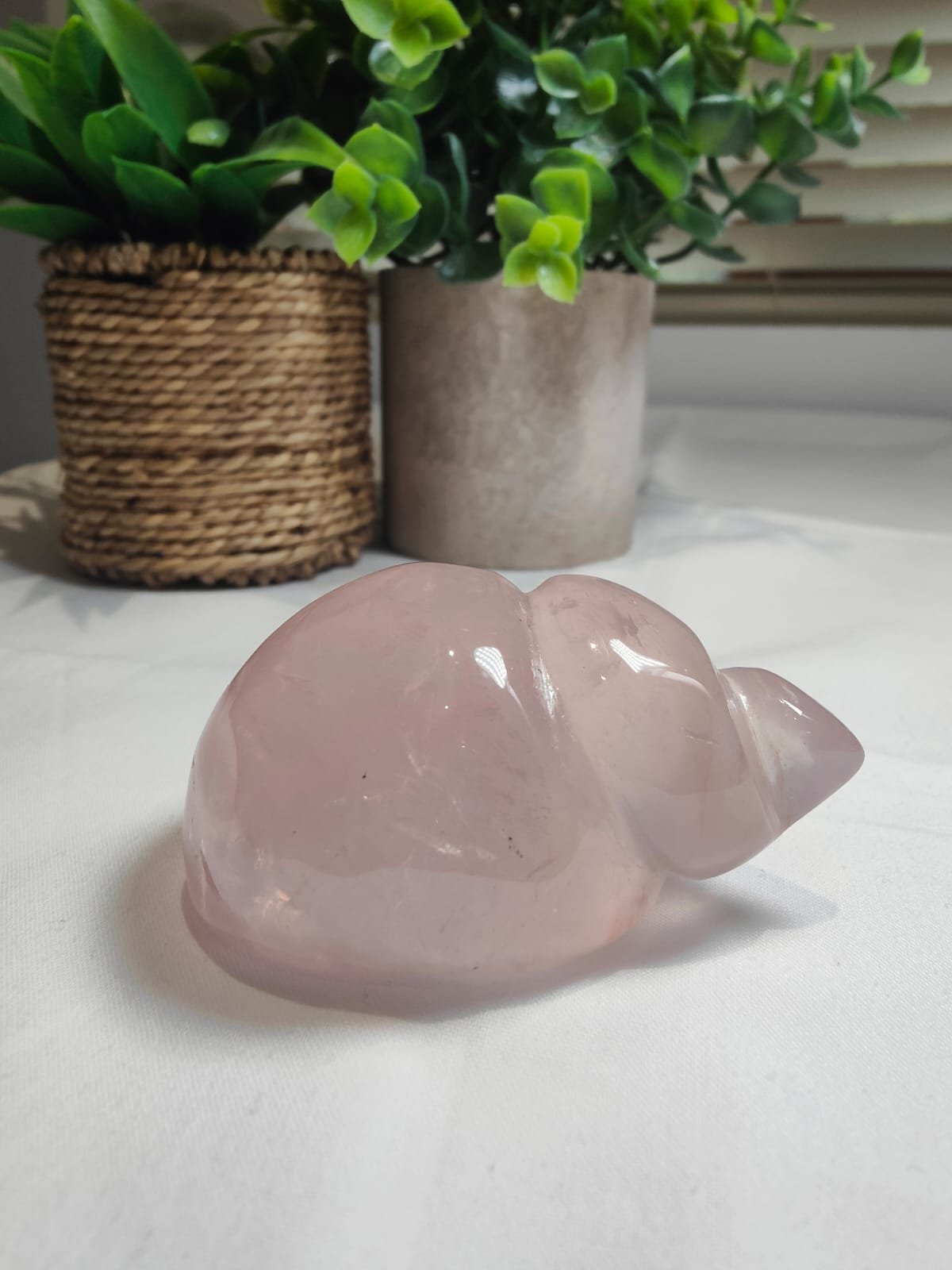 Starlight Rose Quartz Shell #5 - Image 3